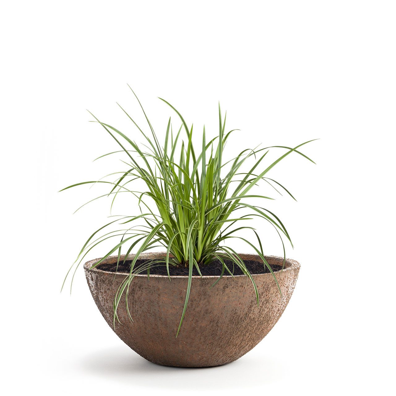 Pflanzwerk® Pflanzschale Pflanzkübel BOWL Frostbeständige Premium Blumensch günstig online kaufen