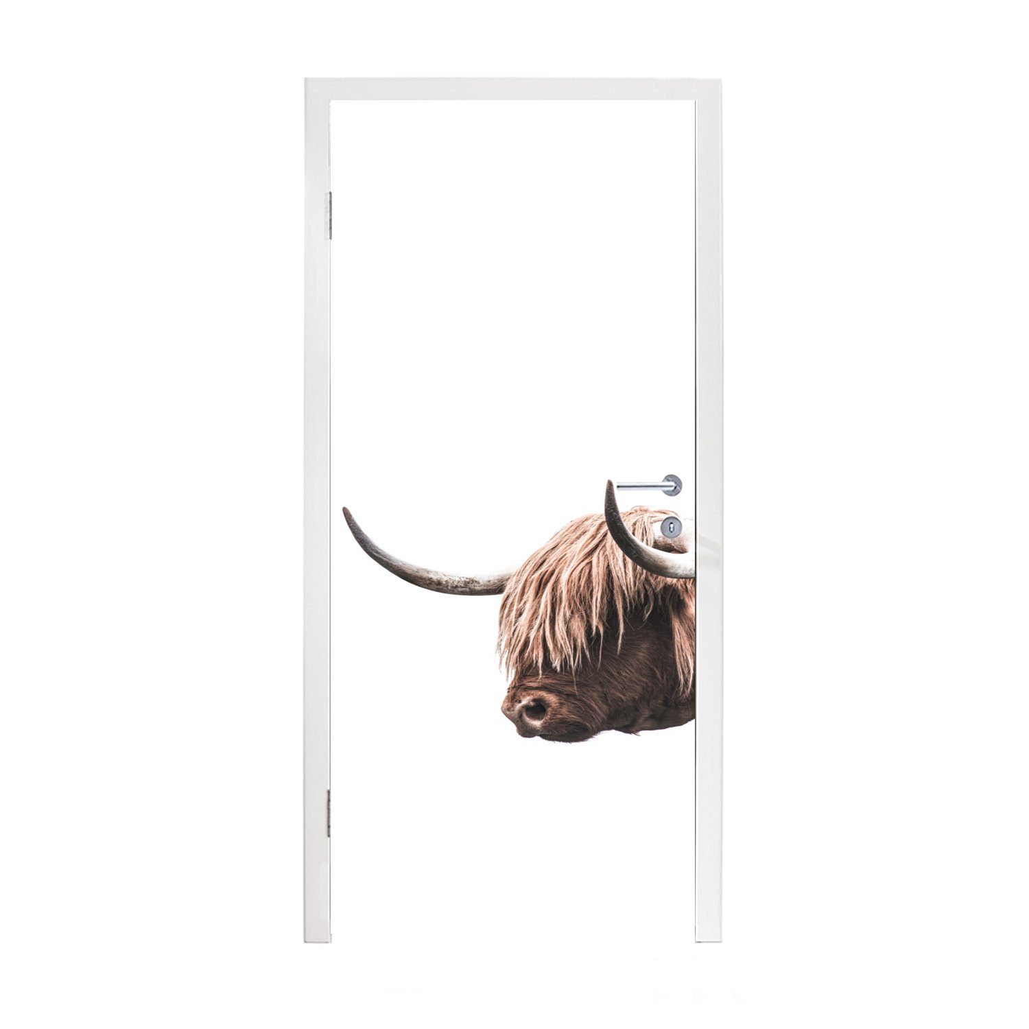 MuchoWow Türtapete Schottischer Highlander - Kuh - Hoorn, Matt, bedruckt, (1 St), Fototapete für Tür, Türaufkleber, 75x205 cm