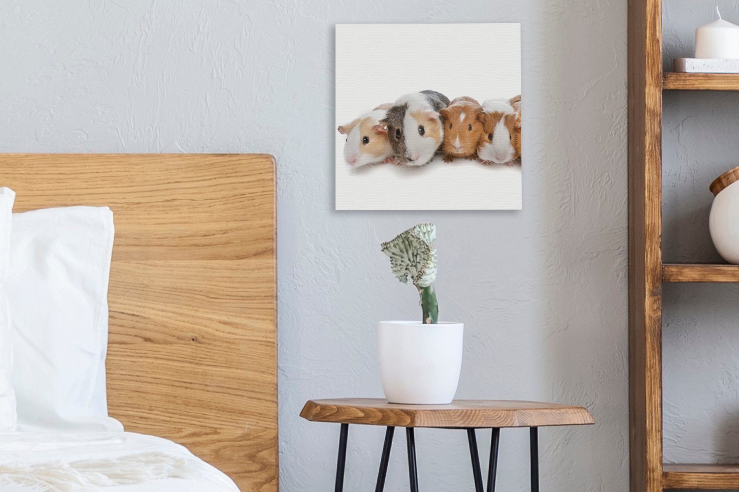 Fünf OneMillionCanvasses® Meerschweinchen, für Bilder Leinwand (1 Schlafzimmer Wohnzimmer Leinwandbild St),