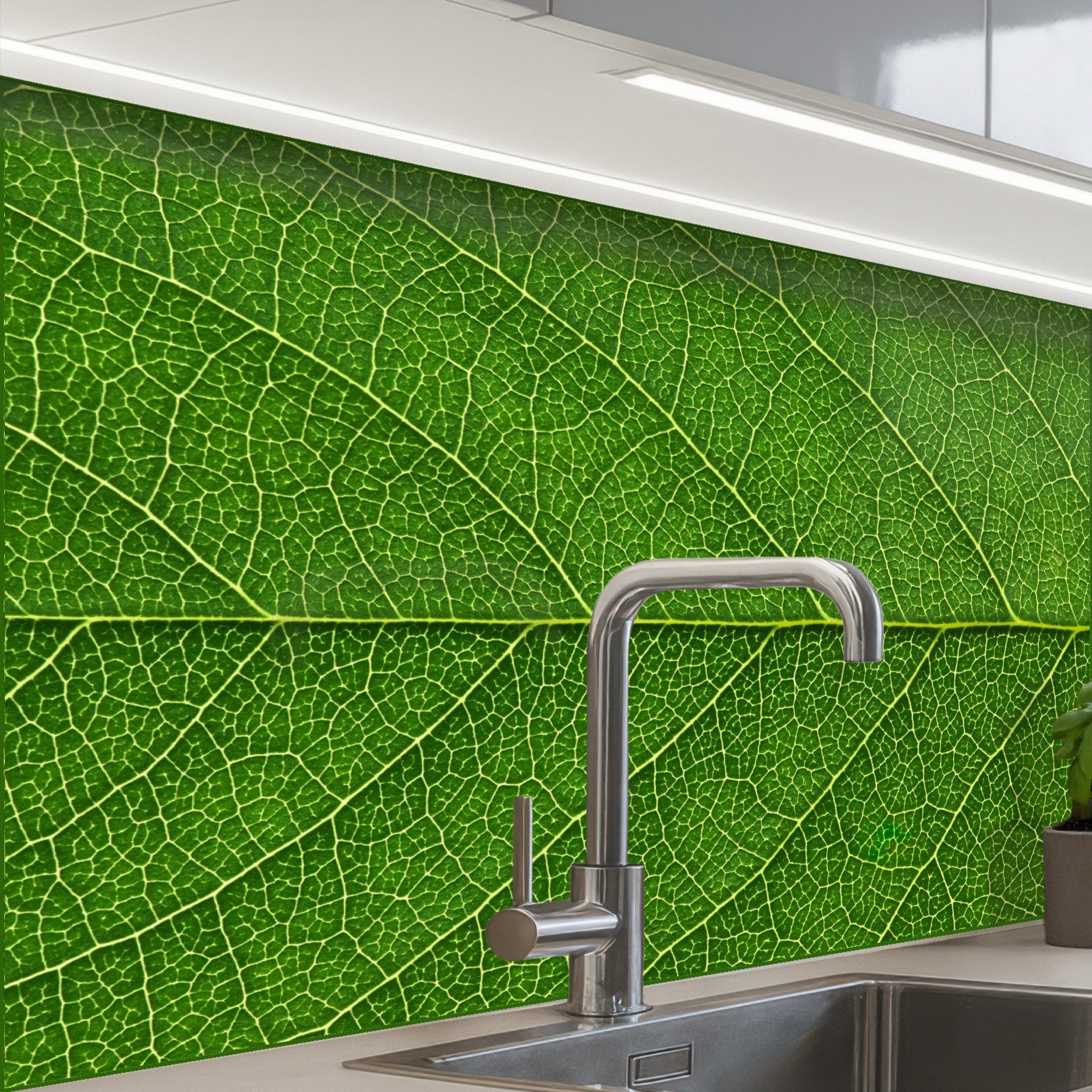 Natur – Blatt – Grün