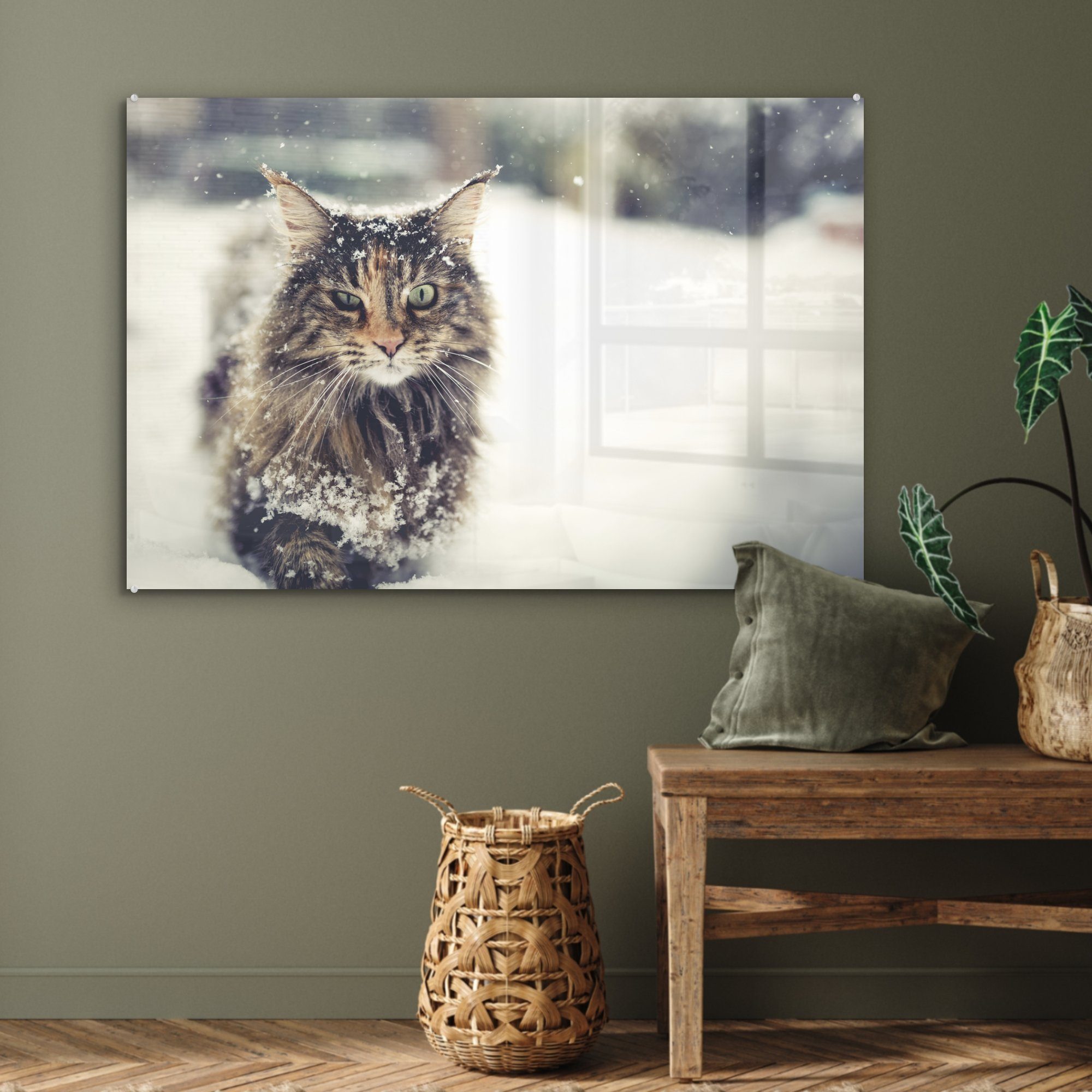 MuchoWow Acrylglasbild Katze Schnee Schlafzimmer St), - Acrylglasbilder Tiere, & - (1 Wohnzimmer