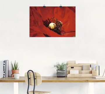 Artland Wandbild Roter Mohn, Blumen (1 St), als Alubild, Leinwandbild, Wandaufkleber oder Poster in versch. Größen