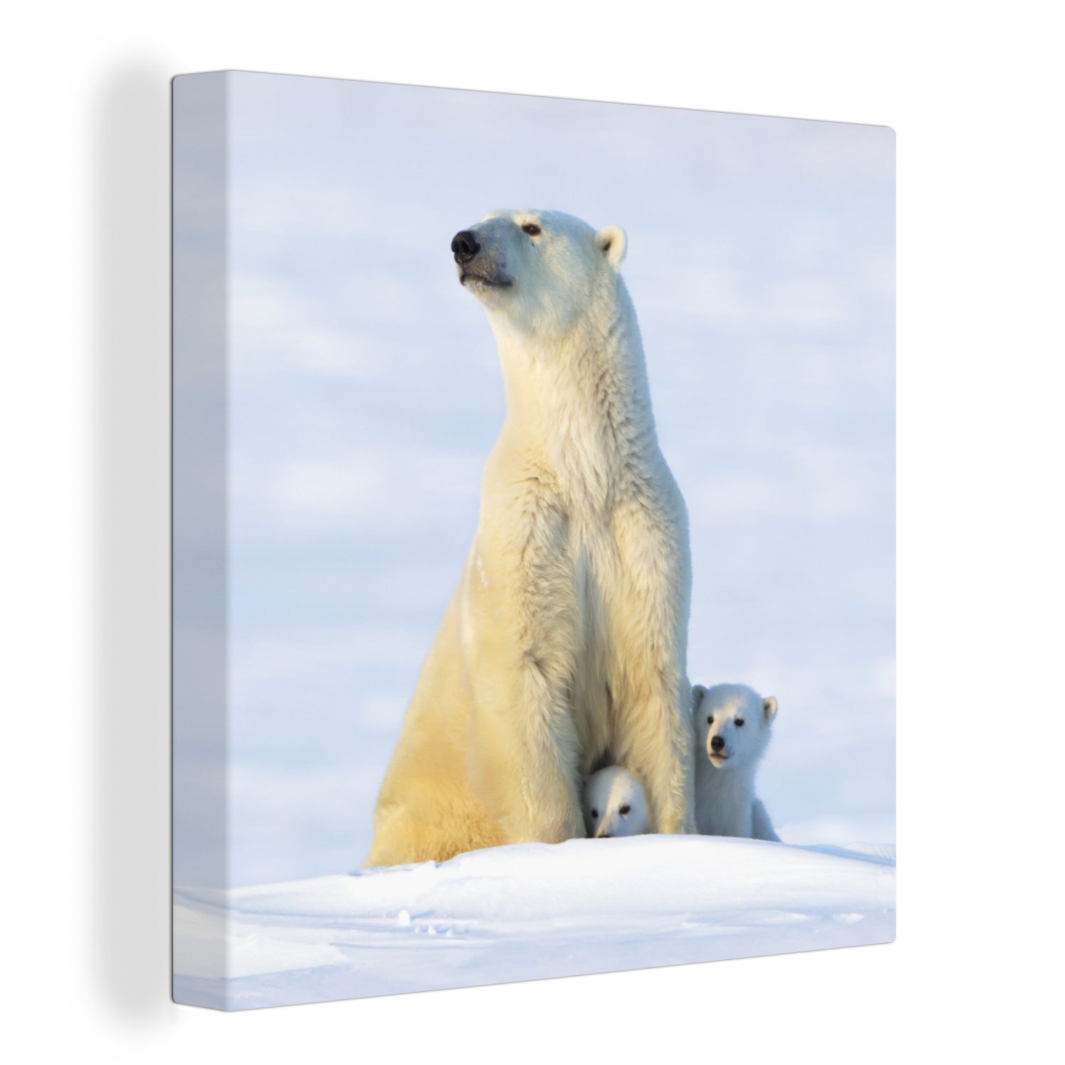OneMillionCanvasses® Leinwandbild Eisbär - Schnee - Jungtiere, (1 St), Leinwand Bilder für Wohnzimmer Schlafzimmer