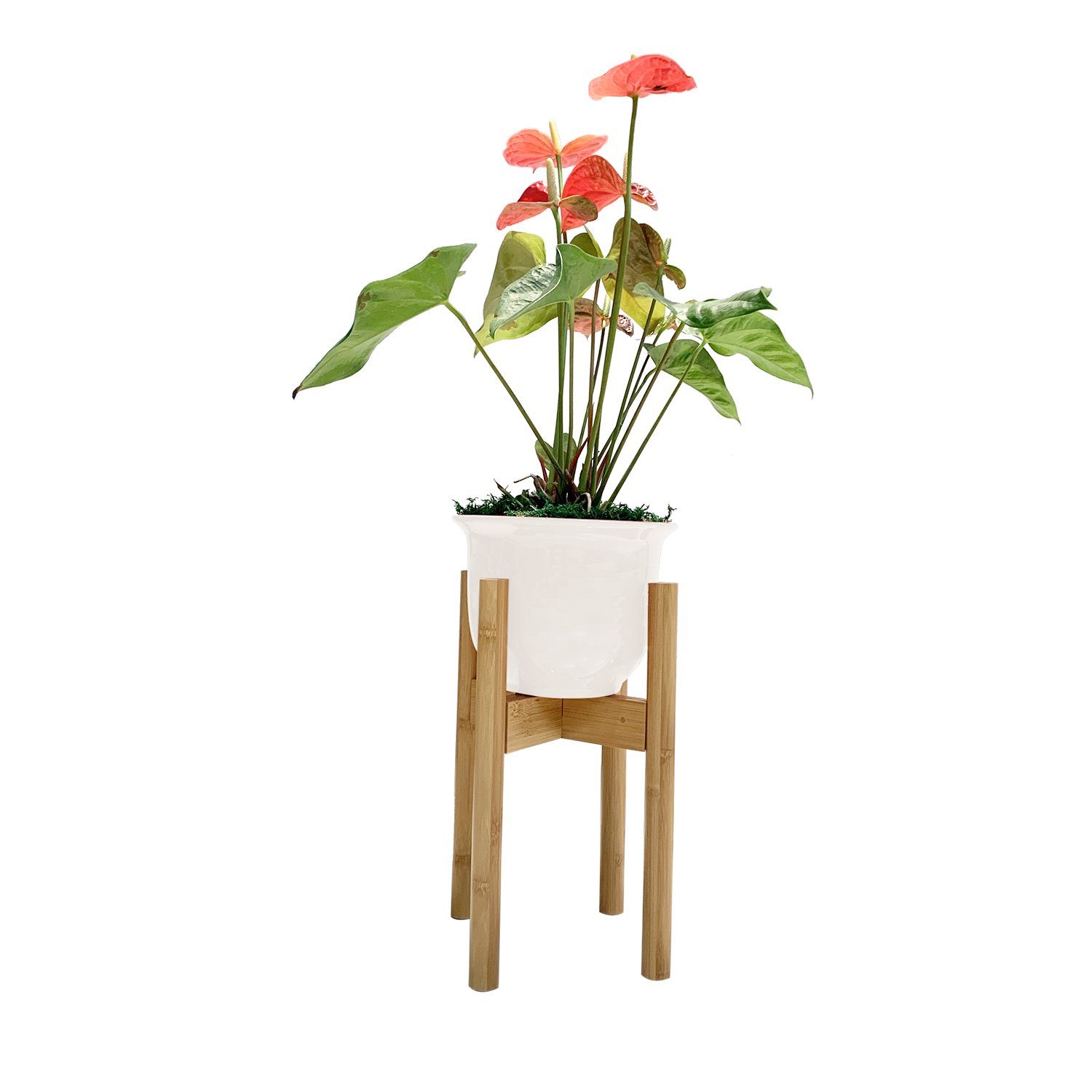 PURMAX Blumenständer Pflanzenständer aus Bambusholz | Blumenständer