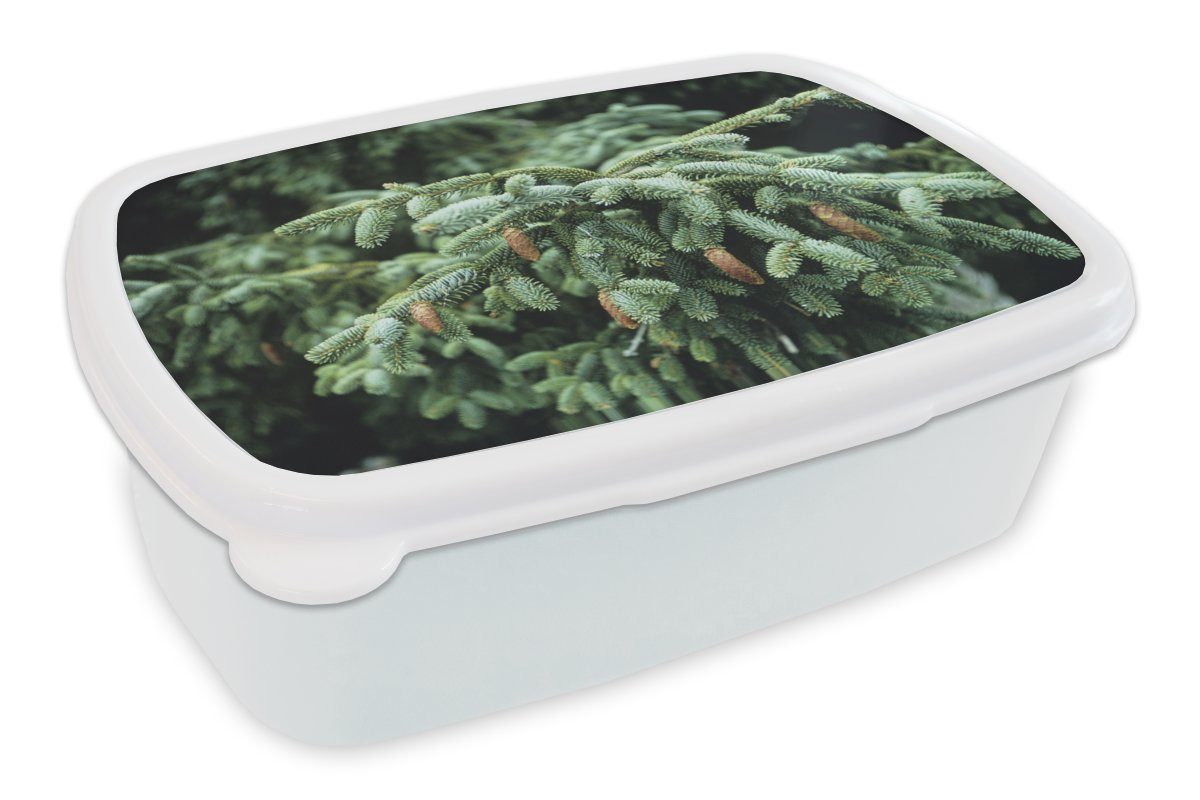 MuchoWow Lunchbox Eine Nahaufnahme eines Weihnachtsbaums in einem Wald in den, Kunststoff, (2-tlg), Brotbox für Kinder und Erwachsene, Brotdose, für Jungs und Mädchen weiß