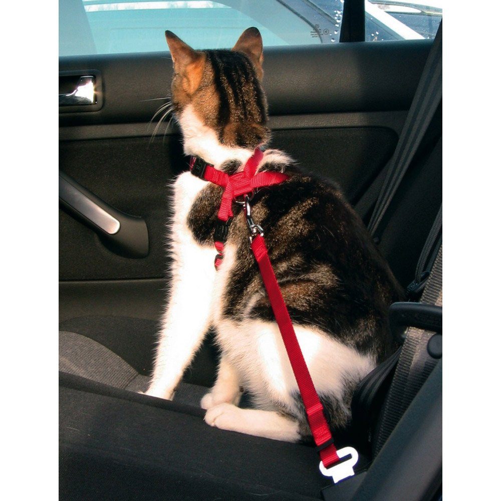 TRIXIE Sicherheitsgeschirr Auto-Sicherheitsgeschirr für Katzen günstig online kaufen