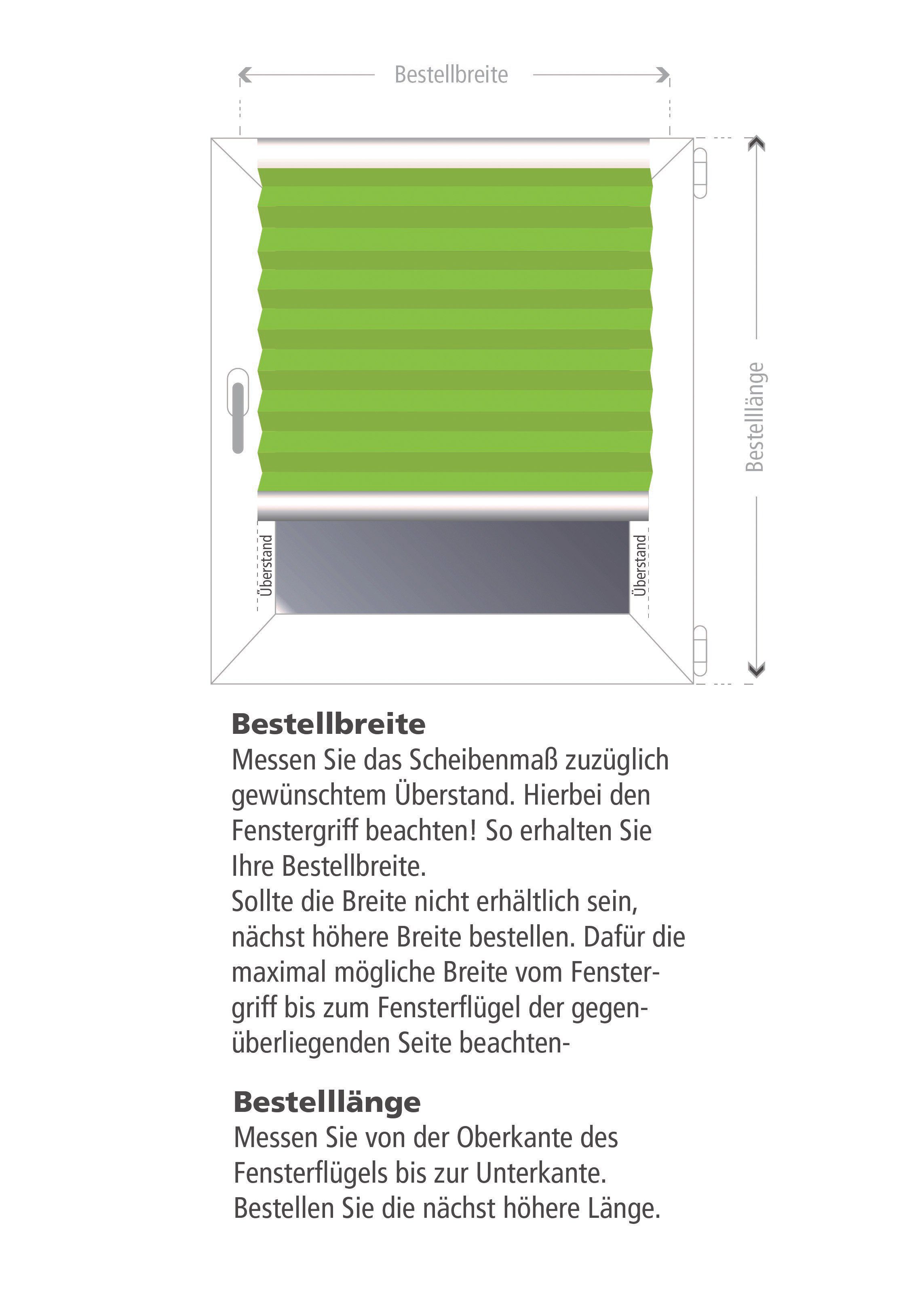 HOMBERA Plissee "Ranke", Lichtschutz, ohne Bohren oder Schrauben, verspannt durch Klemmträger, Klemmfix-Montage, dekorativ, bedruckt