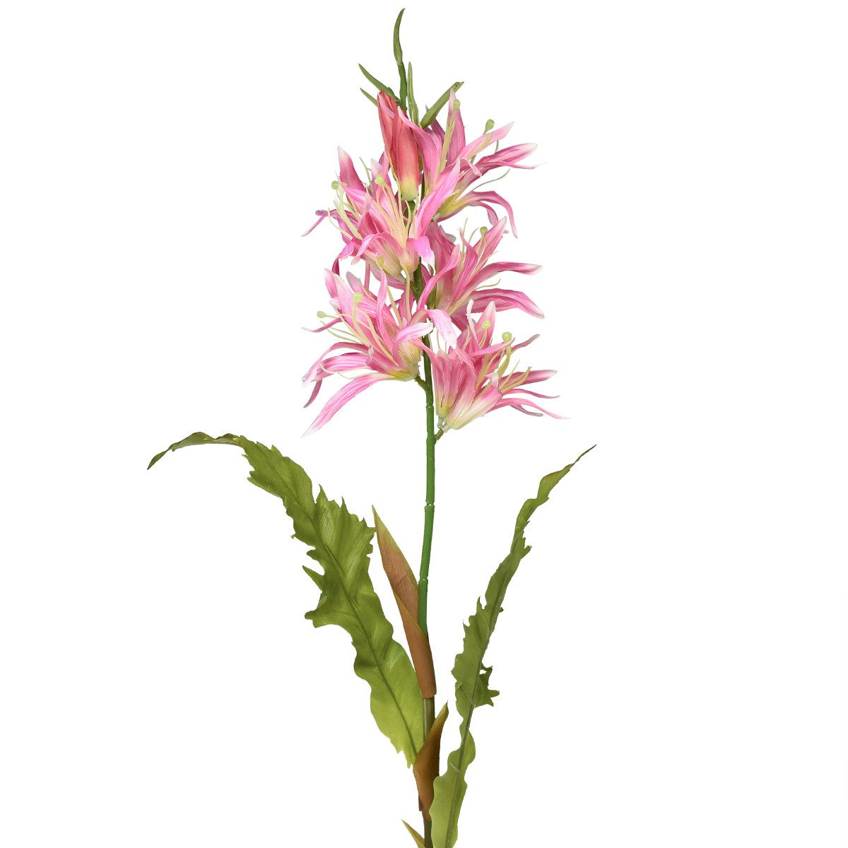 Kunstblume Kunstblumen Seidenblumen Schmucklilie Pink 97cm Dekoration, Viana, Höhe 50 cm