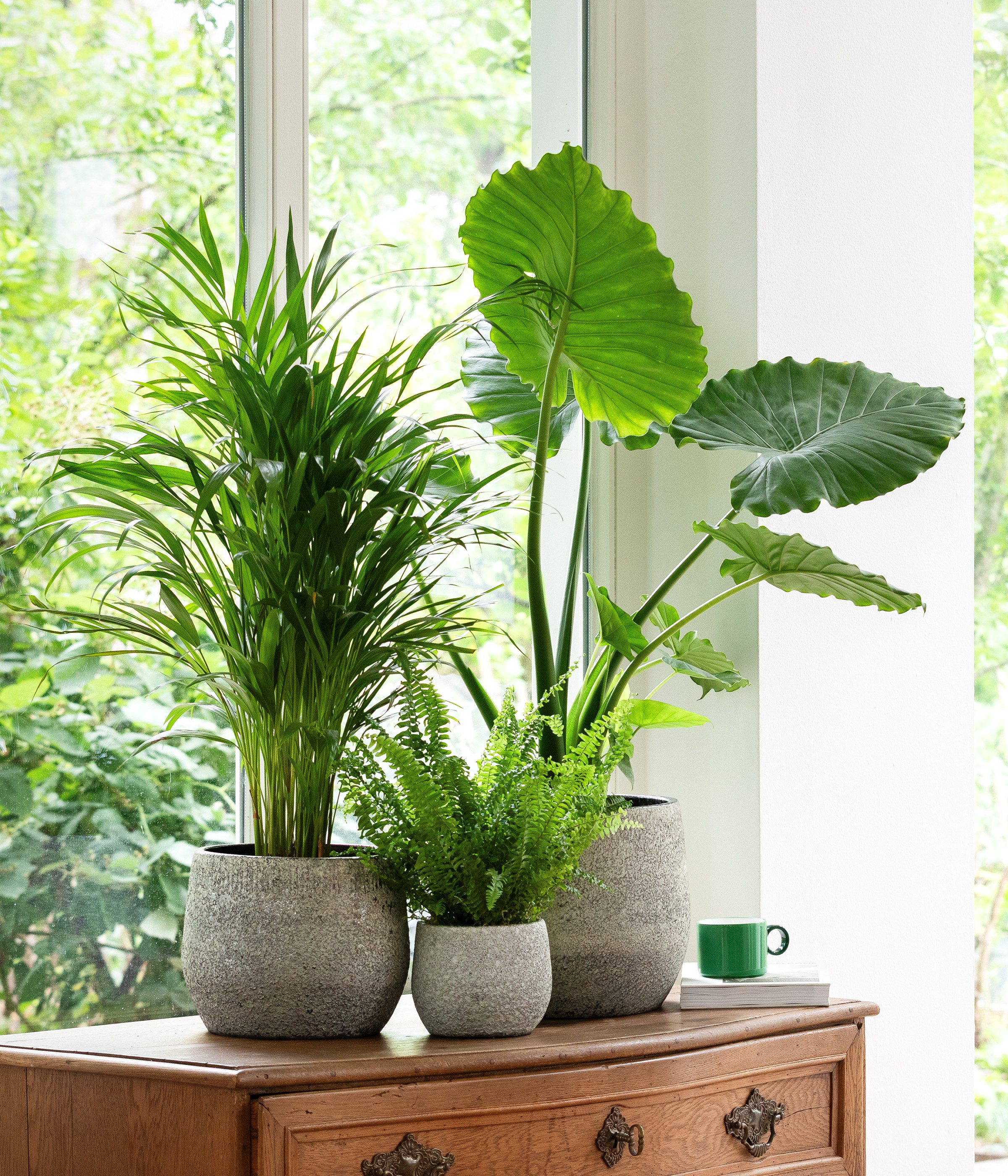 Dehner Übertopf Yves, strukturiert, Keramik, silber