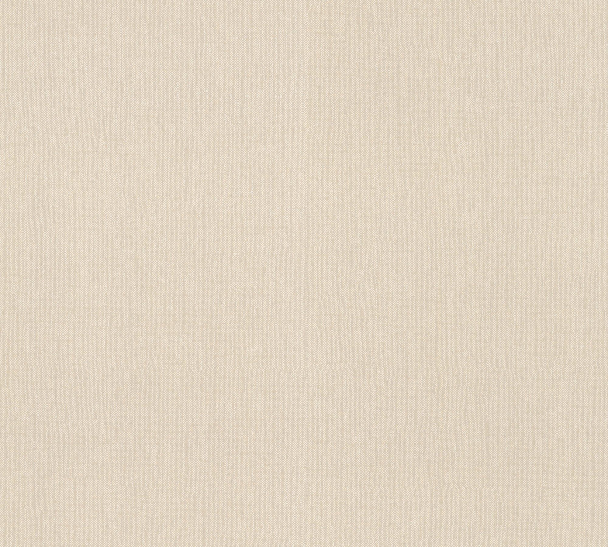 A.S. Création Vliestapete Terra Tapete Einfarbig, strukturiert, matt, (1 St), Uni-Tapete Greige Strukturiert