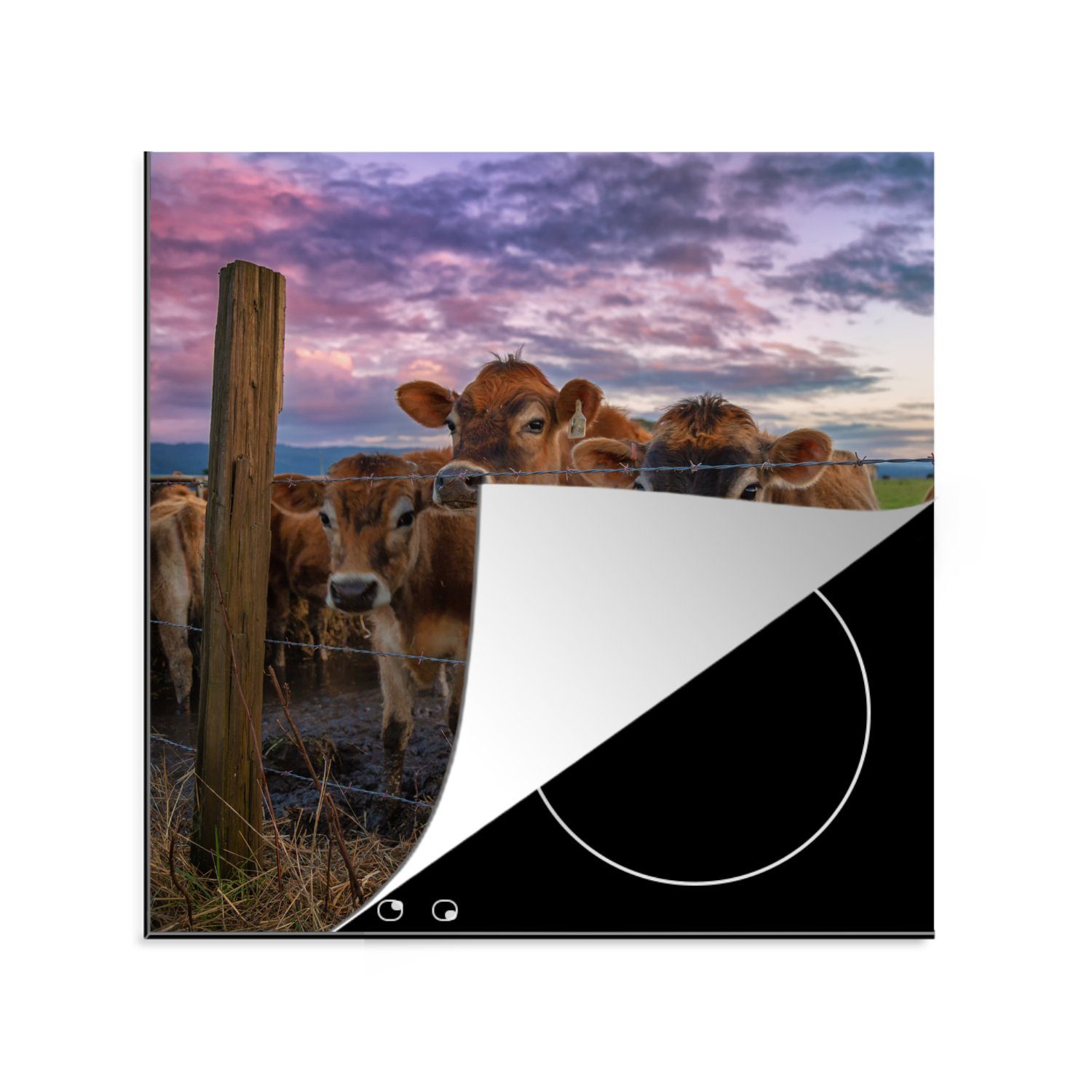 MuchoWow Herdblende-/Abdeckplatte Kuh - Zaun küche Gras, cm, tlg), (1 Ceranfeldabdeckung, Arbeitsplatte 78x78 für Vinyl, 