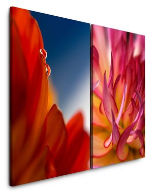 Sinus Art Leinwandbild 2 Bilder je 60x90cm Blumen Rot Blüten Liebe Flamen Leidenschaft Dekorativ
