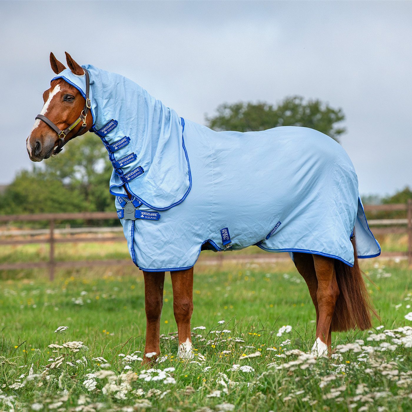 Horseware Pferde-Fliegendecke Fliegendecke Amigo Ripstop Hoody in Azure Blue/Strong Blue & Silve