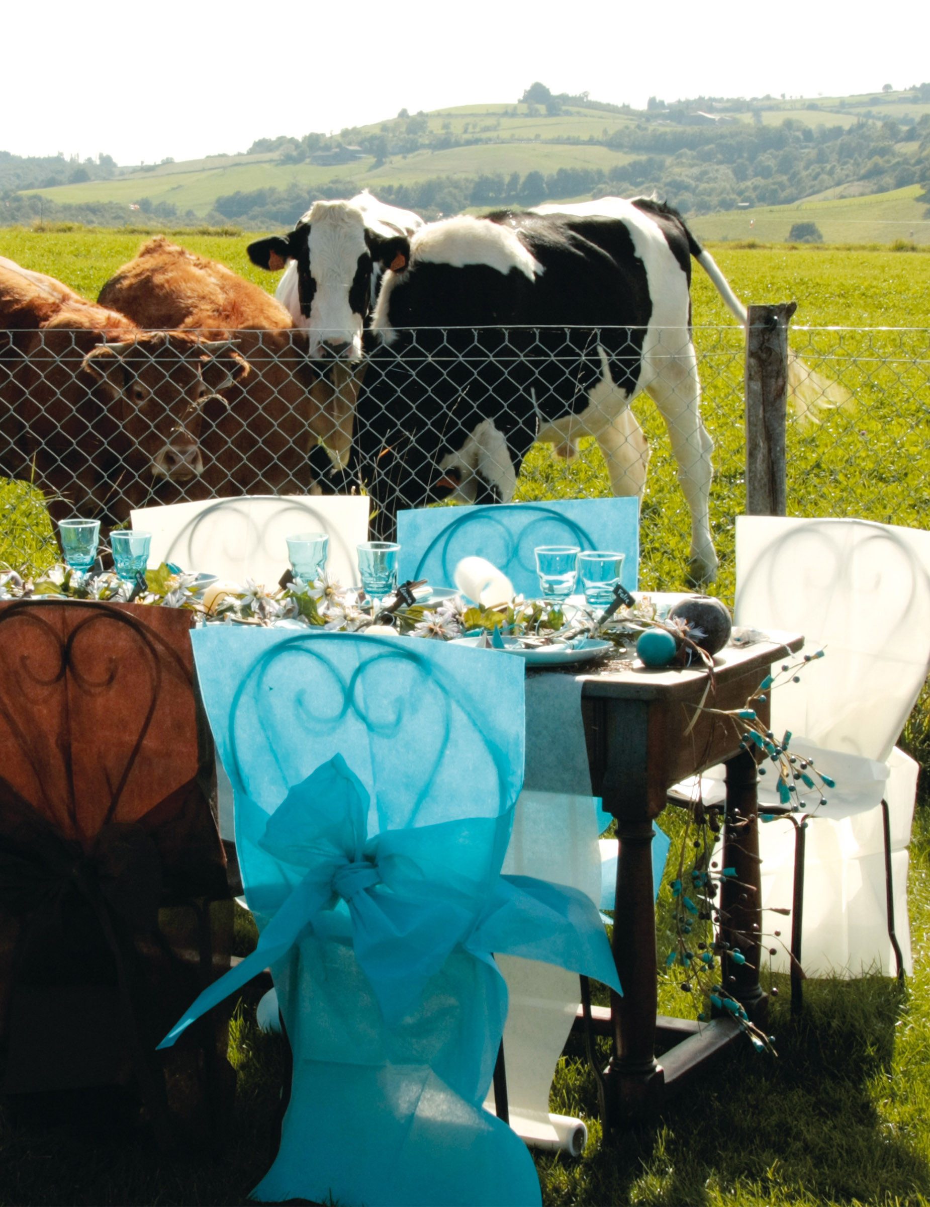 santex Kostüm Stuhlhusse premium Partydeko Hochzeit 10 Stück weiss 50x95 cm