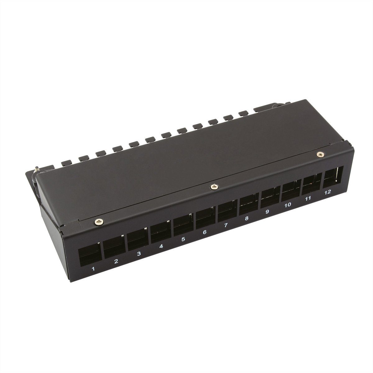 Keystone-Modulträger, 12-Port Netzwerk-Panel