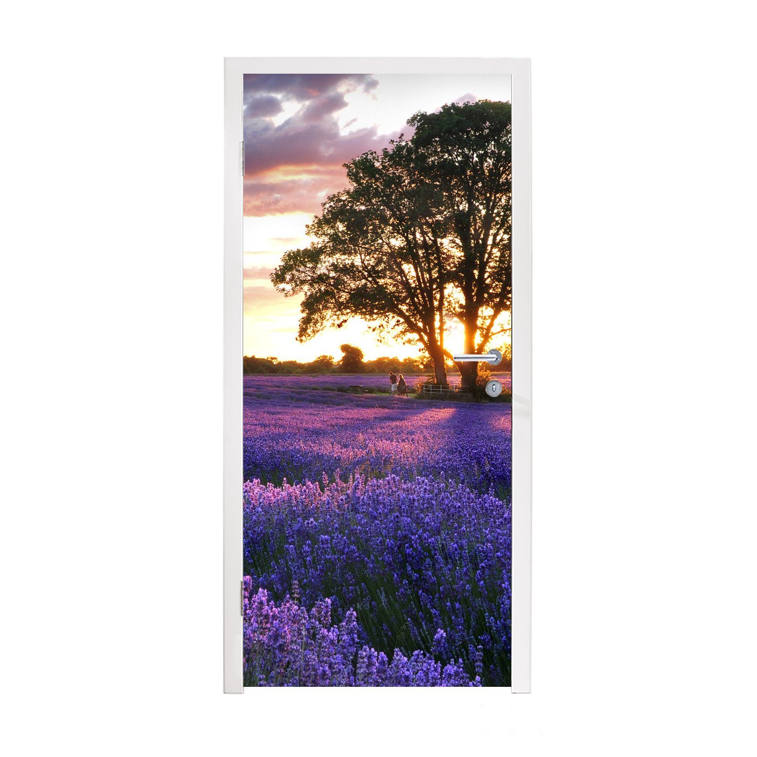 MuchoWow Türtapete Lavendelfelder in England bei Sonnenuntergang, Matt, bedruckt, (1 St), Fototapete für Tür, Türaufkleber, 75x205 cm