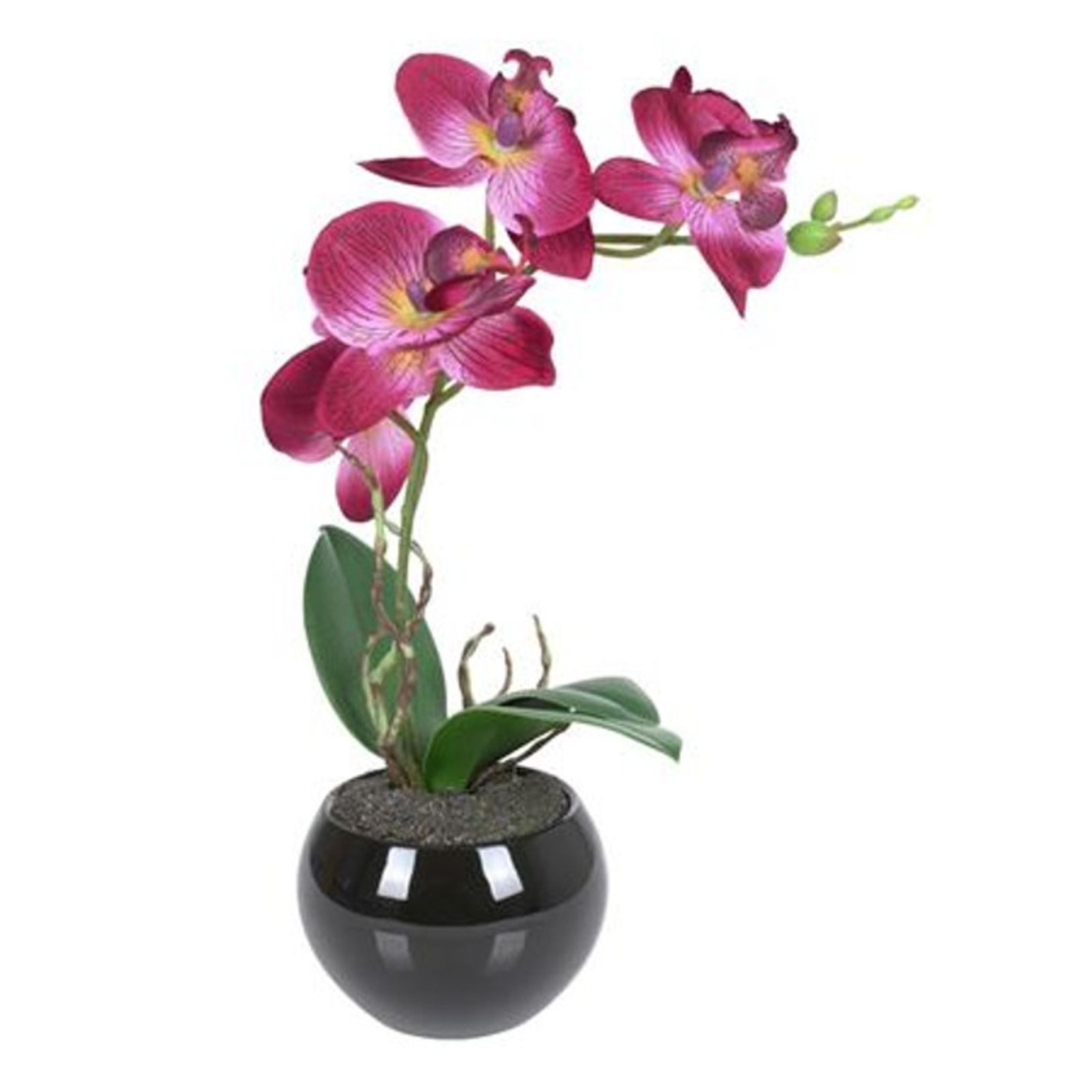 Kunstpflanze Künstliche Orchidee 34cm im Keramiktopf Kunstpflanze Zimmerpflanze, BURI