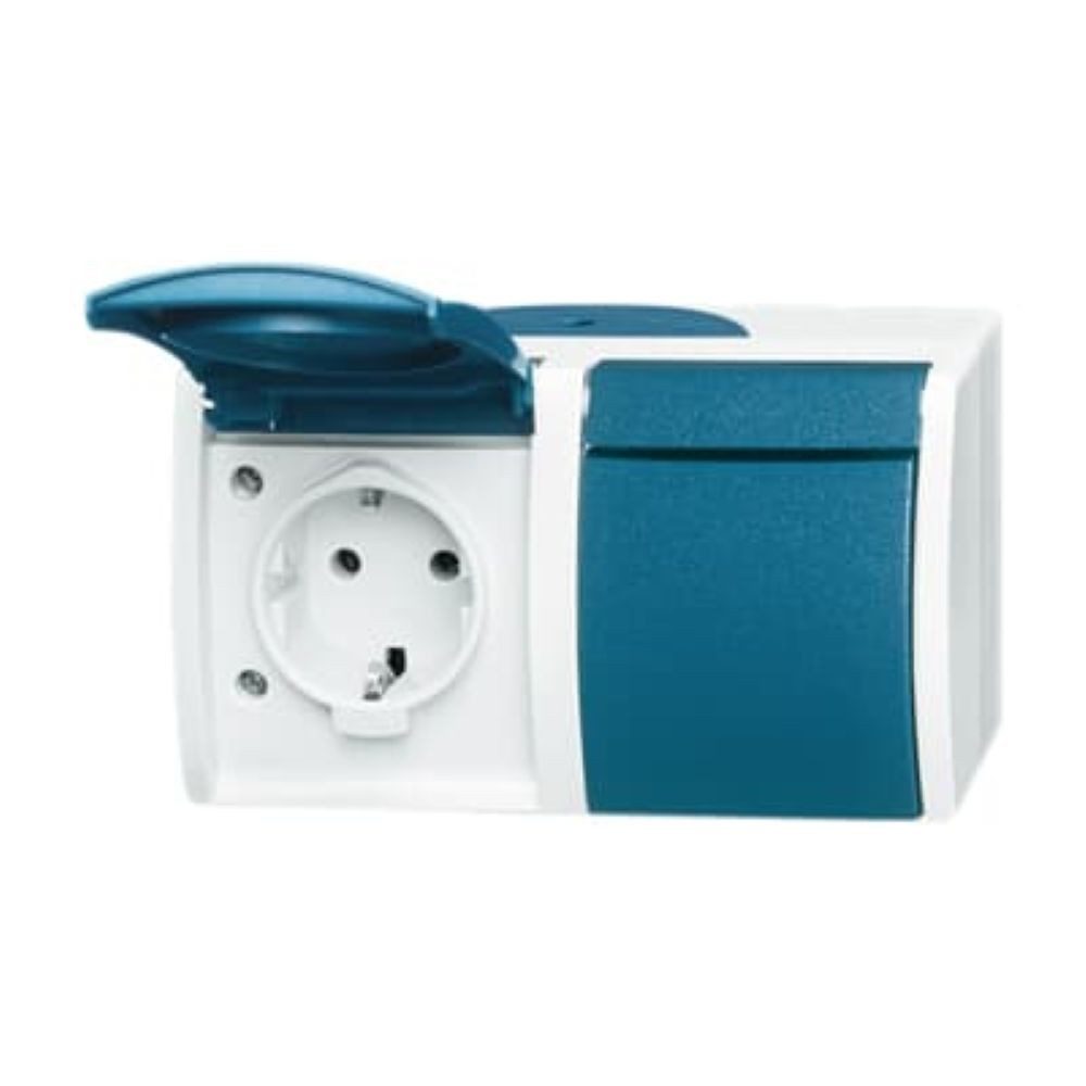 Busch-Jaeger Steckdose SCHUKO© 2-fach 20/2 EW-53 AP/FR, AP/FR SCHUKO© Steckdose