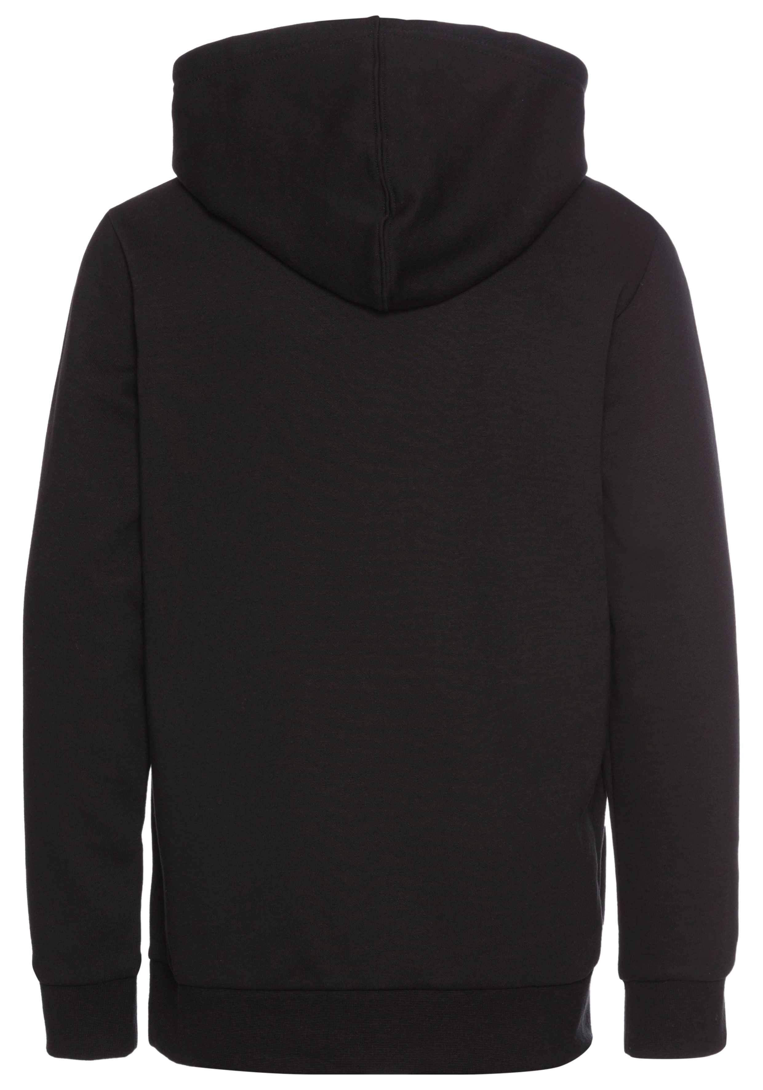 Champion Kapuzensweatshirt Hooded Sweatshirt günstig online kaufen
