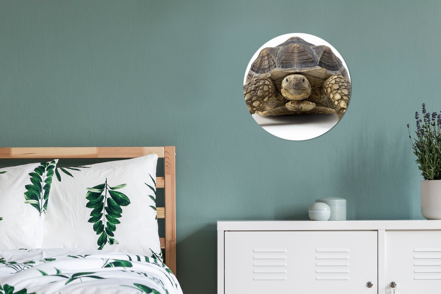 Rund, (1 Tiere - Wohnzimmer für Weiß St), Tapetenkreis - Wandsticker Tapetenaufkleber, Kinderzimmer, Schildkröte MuchoWow