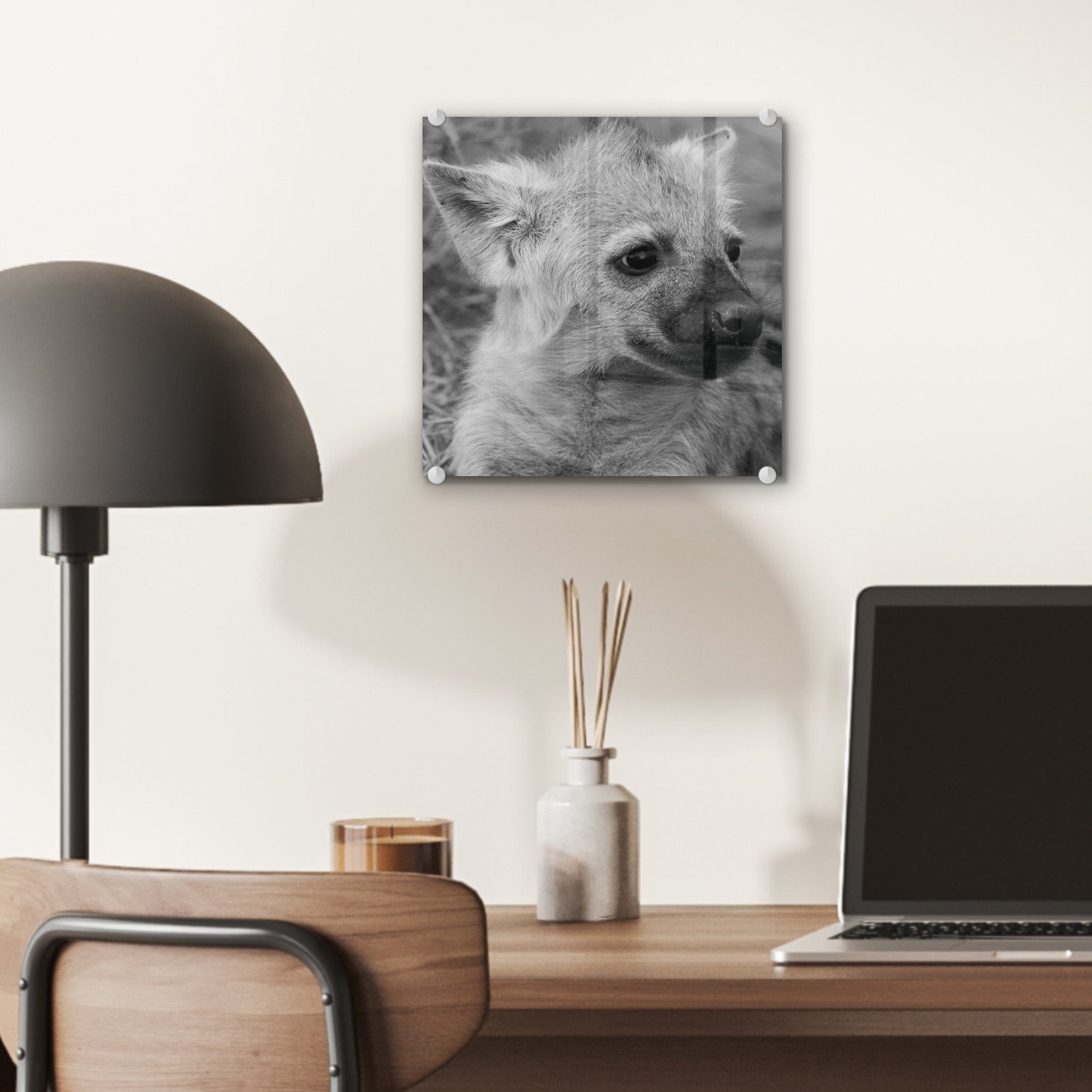 Schwarz Glas St), Glas Wandbild auf auf - Hyänenjunges Foto Acrylglasbild und MuchoWow Wanddekoration Glasbilder Bilder in - - Weiß, (1