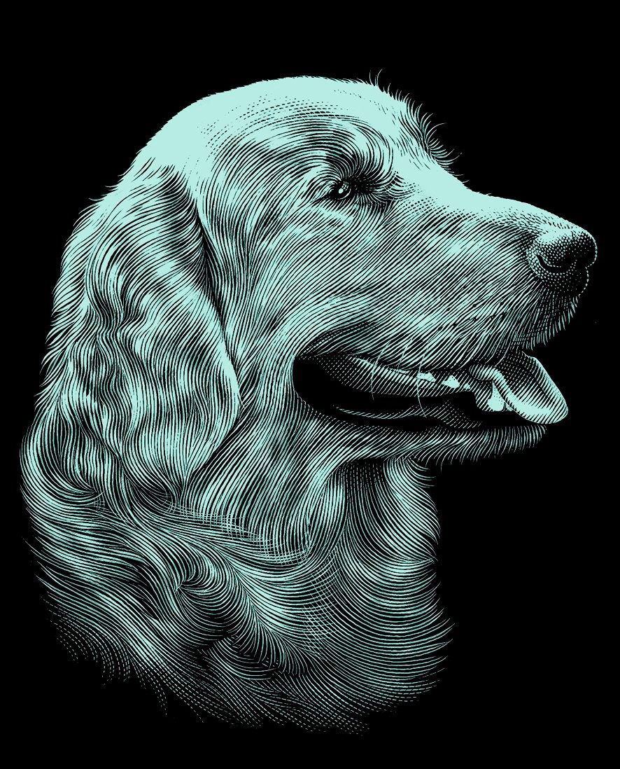 MAMMUT Spiel und Geschenk Kunstdruck Hund, Silber, 18 cm x 11 cm