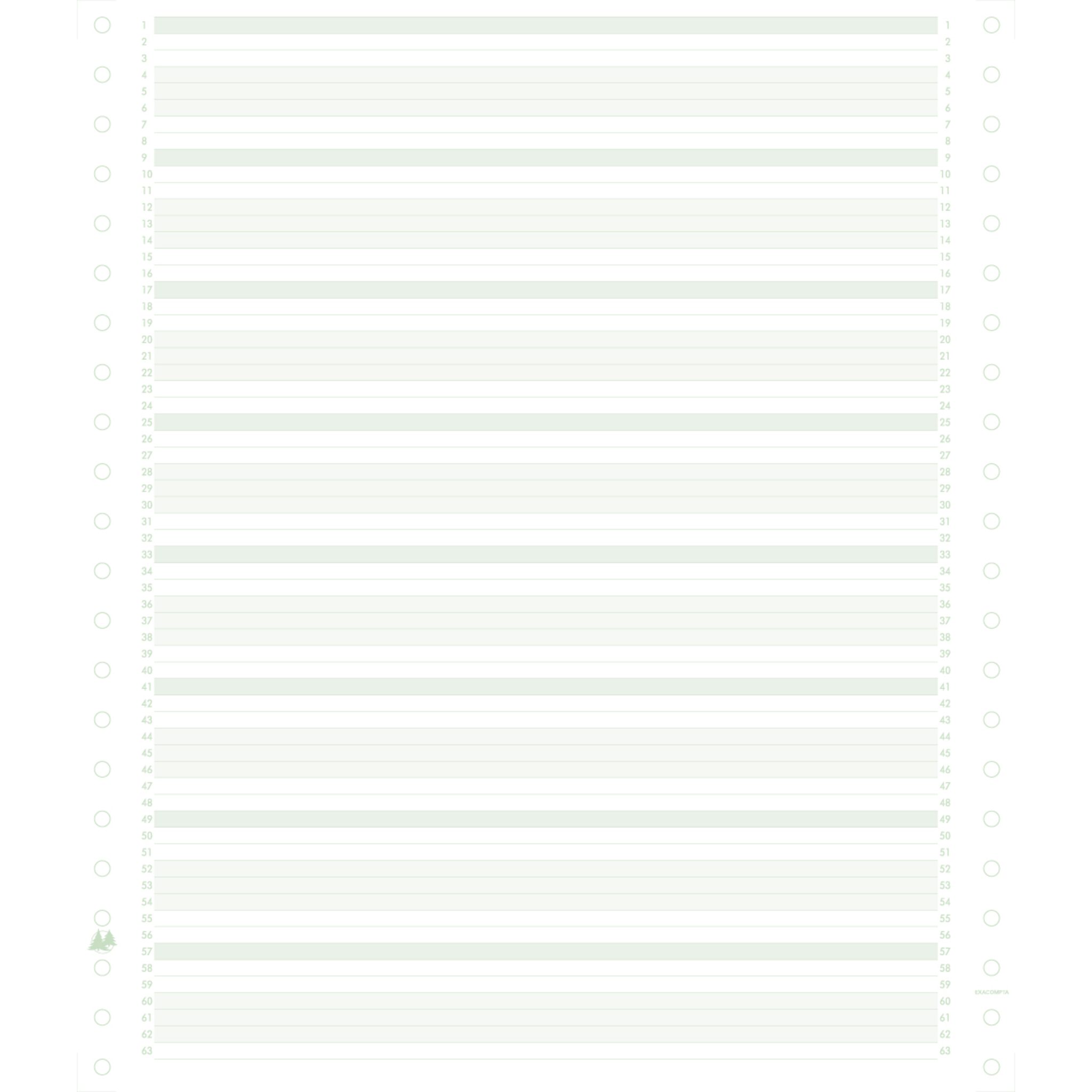 EXACOMPTA Druckerpapier Pk 2000 Comp-Papier 60g 240x11'' Gree 62211E, Listingspapier