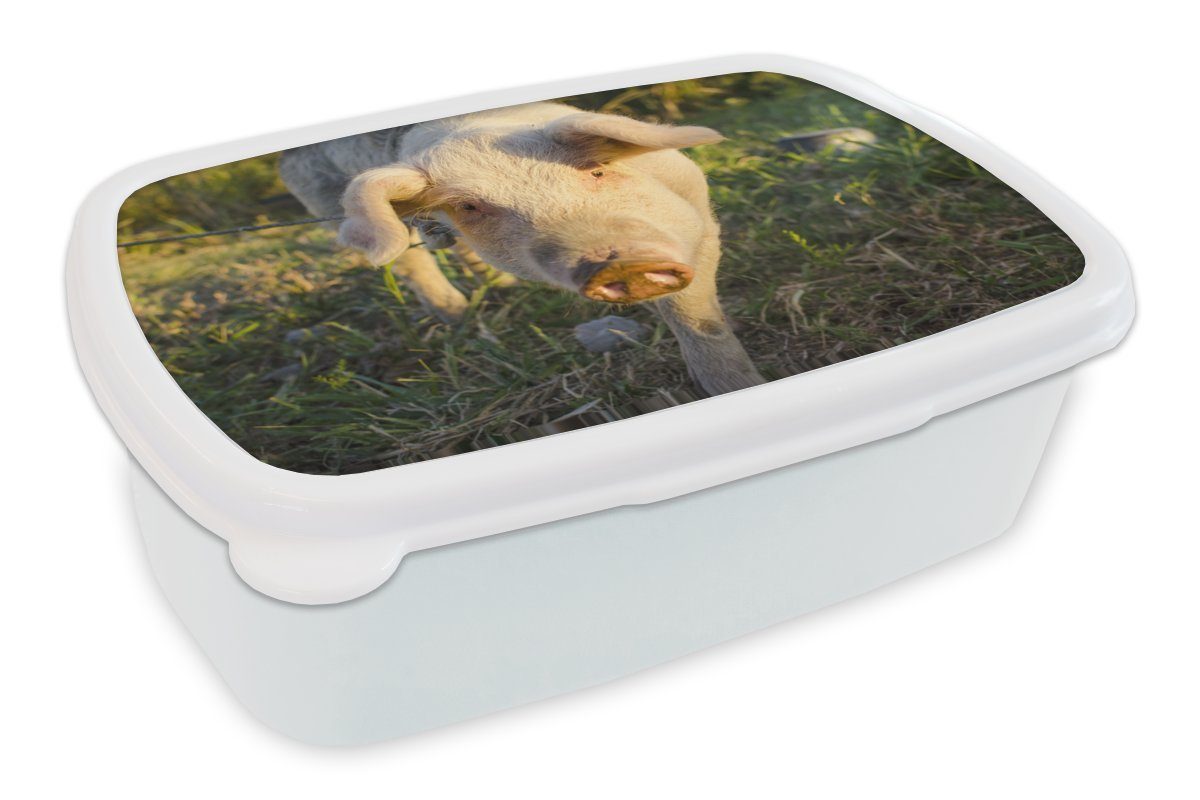 MuchoWow Lunchbox Spiel - Schwein - Sonnenuntergang, Kunststoff, (2-tlg), Brotbox für Kinder und Erwachsene, Brotdose, für Jungs und Mädchen weiß