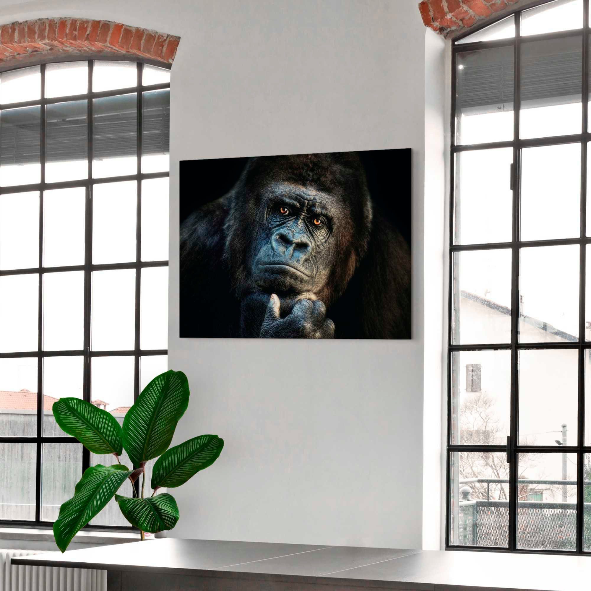 Platinum Alu-Dibond-Druck Gorilla, 1 (1 St), Joachim G. Pinkawa