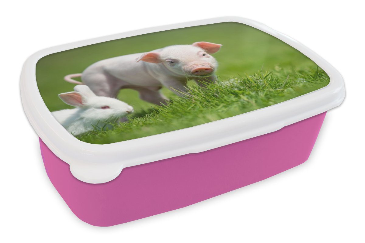 MuchoWow Lunchbox Ferkel - Kaninchen - Tiere, Kunststoff, (2-tlg), Brotbox für Erwachsene, Brotdose Kinder, Snackbox, Mädchen, Kunststoff rosa