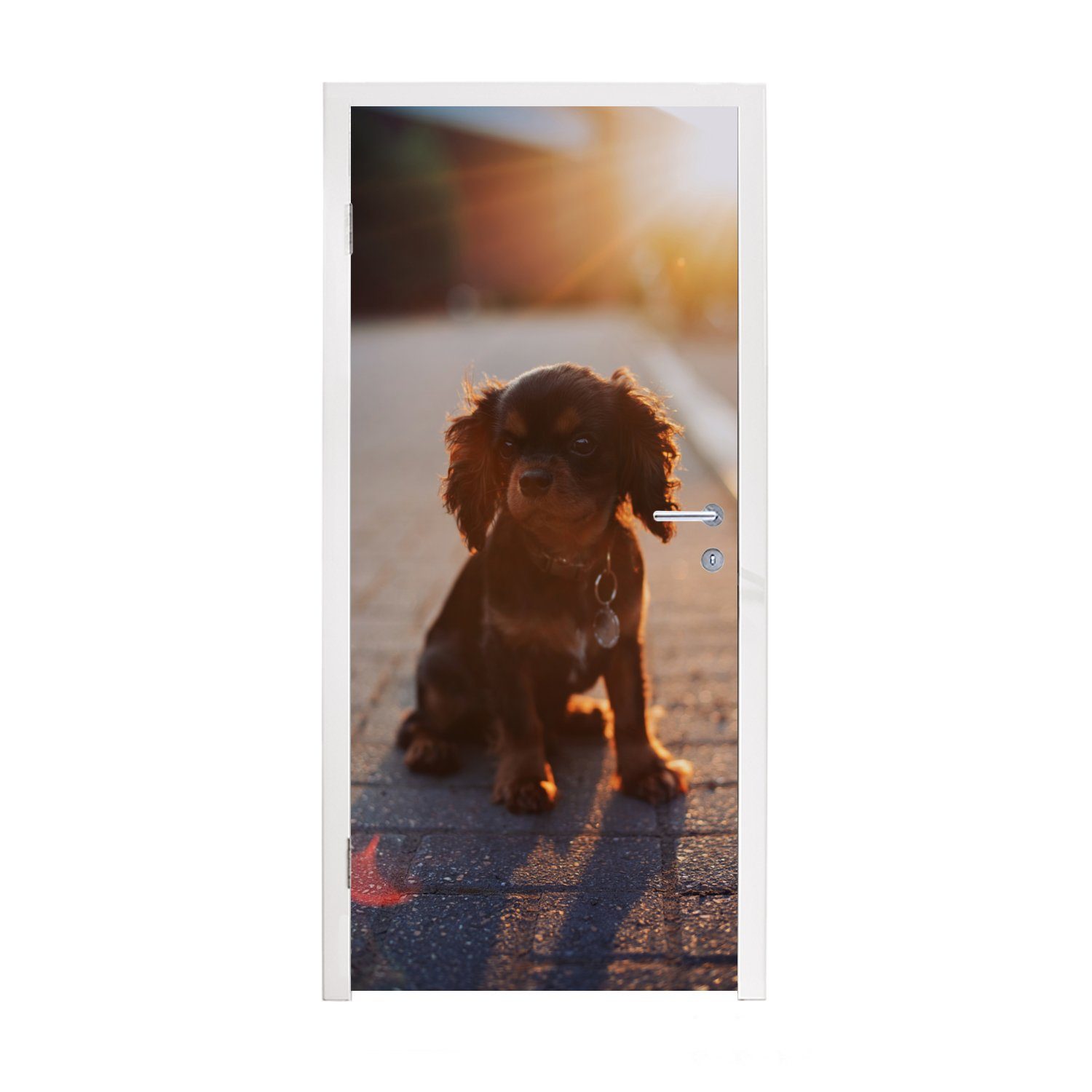 MuchoWow Türtapete Sonnenschein über dem Cavalier King Charles Spaniel Welpen, Matt, bedruckt, (1 St), Fototapete für Tür, Türaufkleber, 75x205 cm