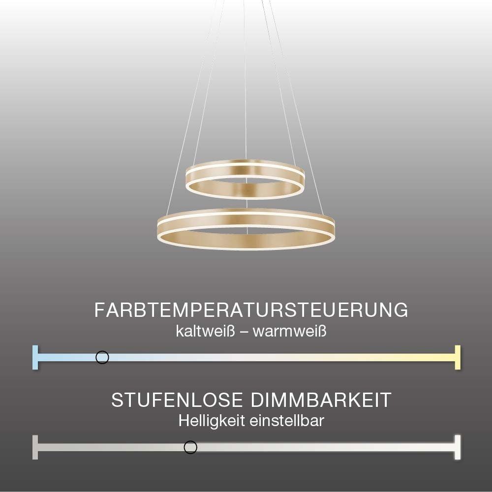 Paul Neuhaus Smarte LED-Leuchte LED RGB+W-Farbregelung, Fernbedienung Home, mit Memoryfunktion, Smart matt Dimmfunktion, rund Leuchtmittel, Home Smart doppel Q VITO, Pendellampe Ring messing