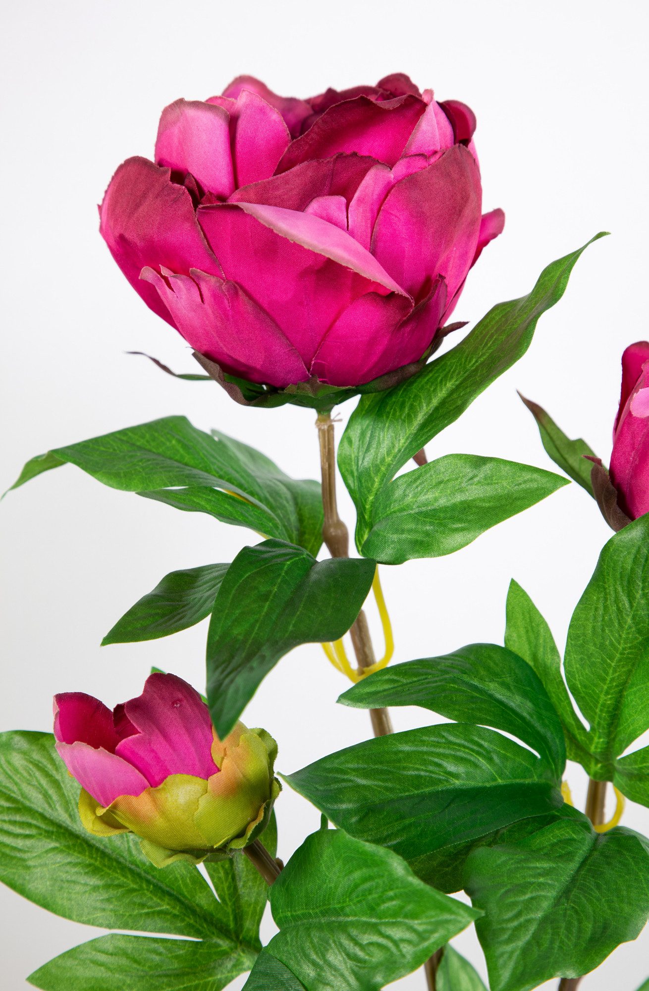 Kunstblume Pfingstrose Nature 68cm GA Seidenblumen künstliche Blumen Päonie, Seidenblumen Roß, Höhe 68 cm, Fuchsia – Bild 5 von 5