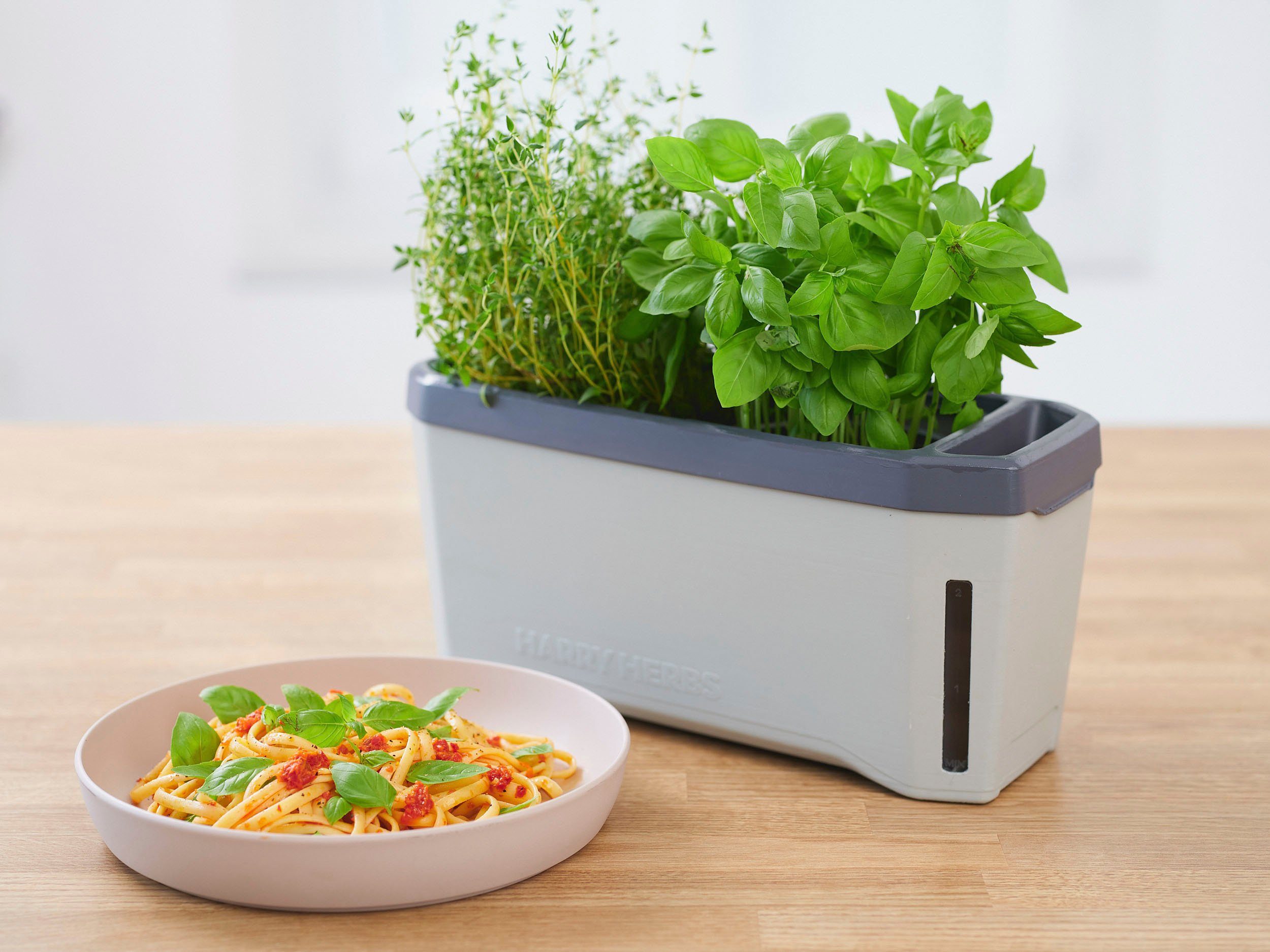 Gusta Garden Kräutertopf HARRY HERBS 4 in 1 Kräutertopf, mit Wasserreservoir