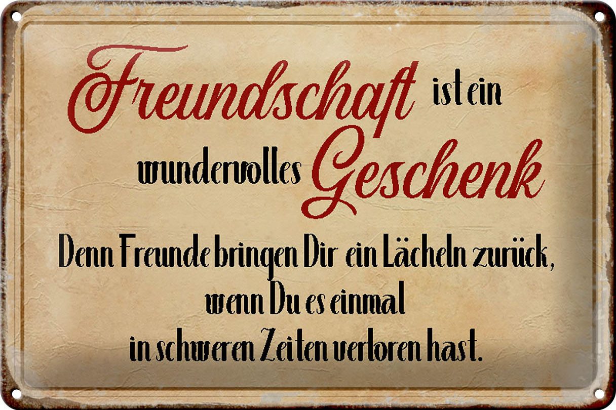 Metallschild Spruch 30x20cm Freundschaft ist ein