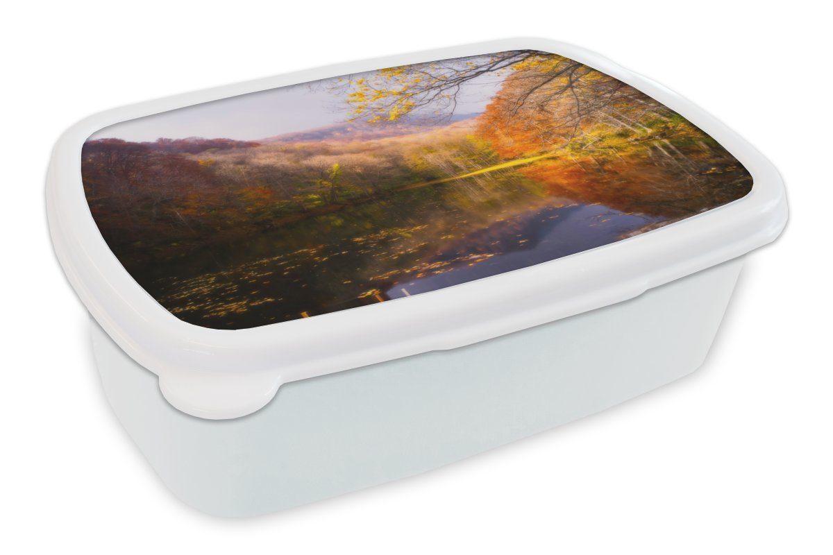 MuchoWow Lunchbox Natur - Wald - Herbst, Kunststoff, (2-tlg), Brotbox für Kinder und Erwachsene, Brotdose, für Jungs und Mädchen weiß