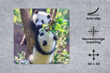 MuchoWow Gaming Mauspad Pandas - Baum - Natur (1-St), Mousepad mit Rutschfester Unterseite, Gaming, 40x40 cm, XXL, Großes