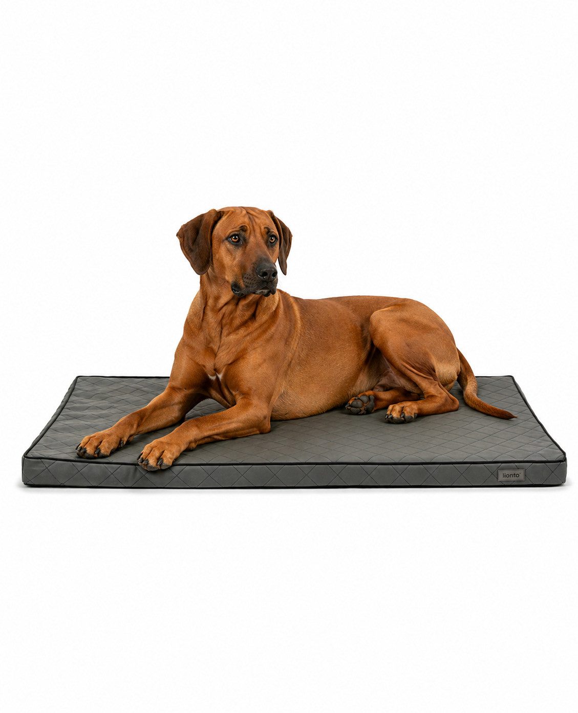 lionto Tierkissen orthopädisch, druckentlastend, Lederimitat, Memory-Foam-Liegefläche, rutschfeste Unterseite & abnehmbarer Bezug
