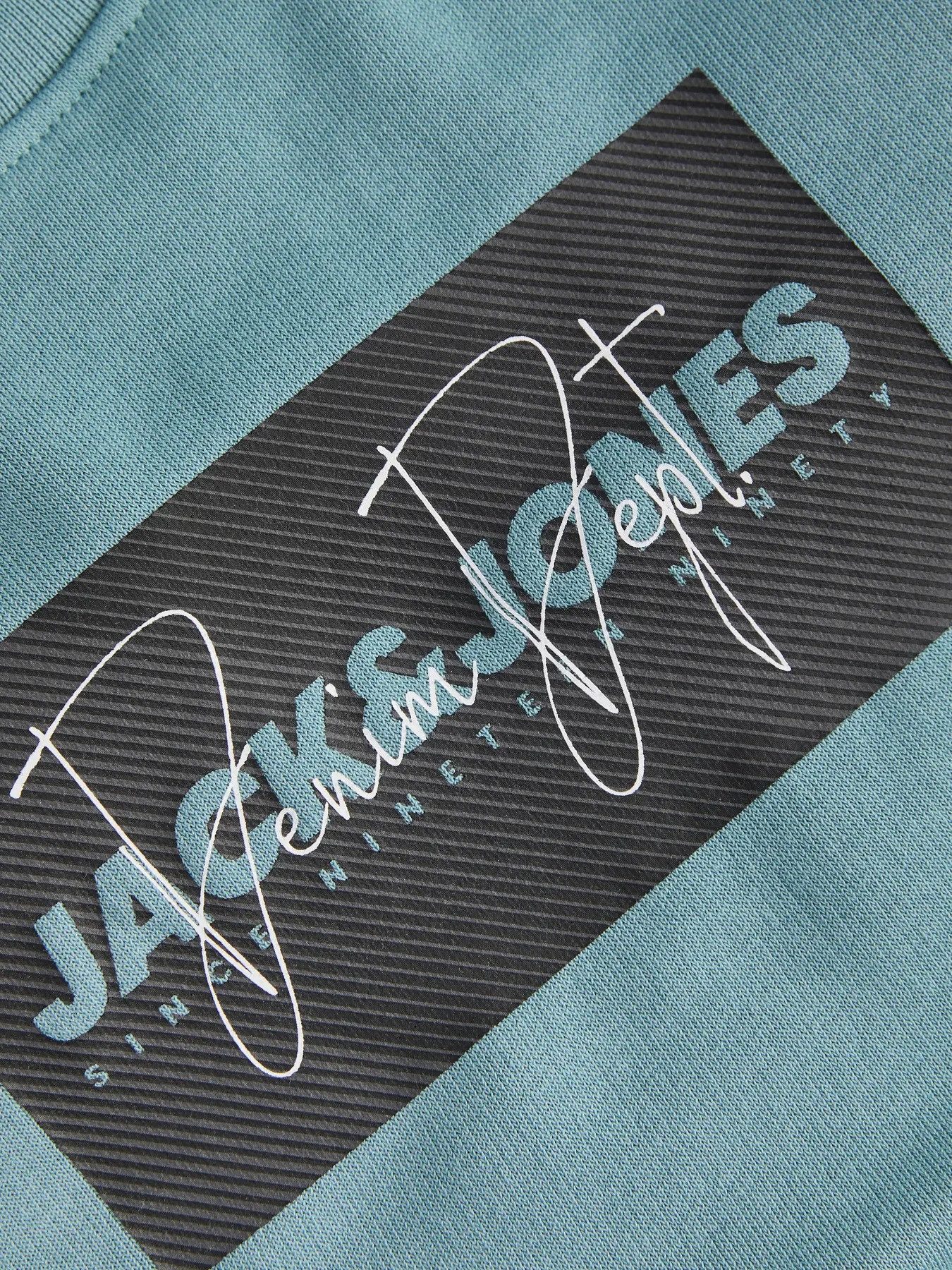 Jack & Jones Junior Sweatshirt JJCOLE PRINT SWEAT CREW MNI
