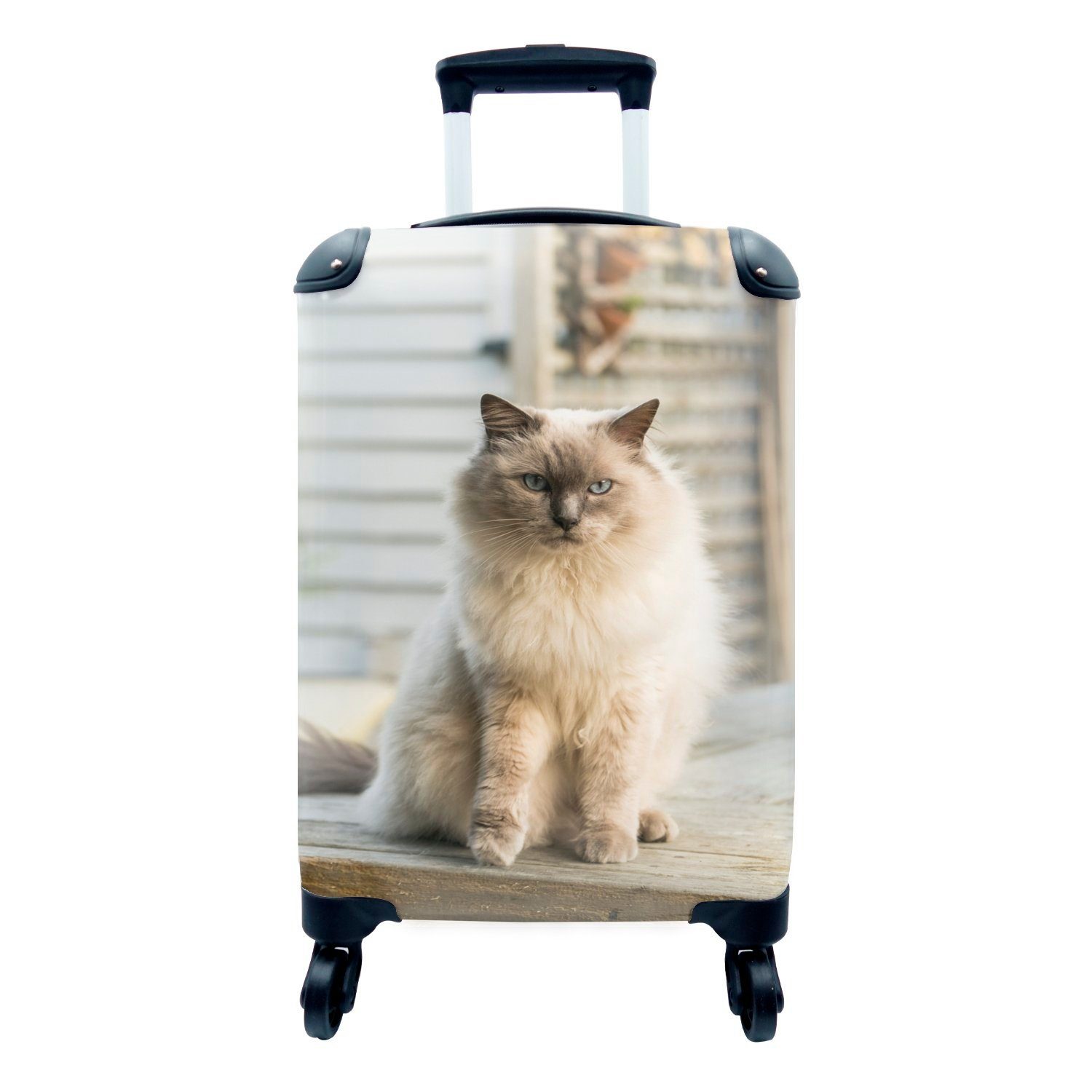Ferien, für der Ragdoll-Katze rollen, Luft, MuchoWow an frischen Rollen, Reisekoffer 4 Handgepäckkoffer Handgepäck Trolley, Reisetasche mit
