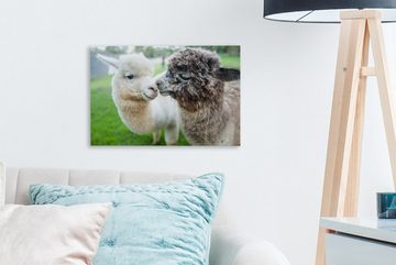 OneMillionCanvasses® Leinwandbild Liebe - Alpaka - Stofftier, (1 St), Wandbild Leinwandbilder, Aufhängefertig, Wanddeko, 30x20 cm