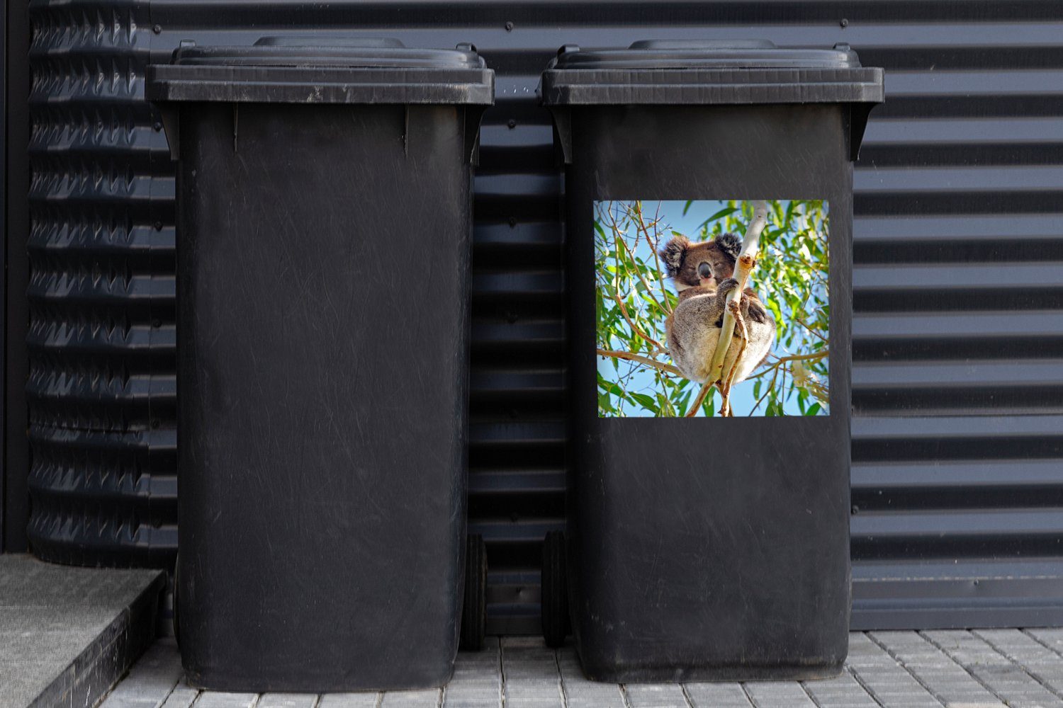- Container, Mädchen Mülltonne, - (1 Luft Abfalbehälter Zweige - Mülleimer-aufkleber, Koala MuchoWow Jungen Sticker, Wandsticker St), -
