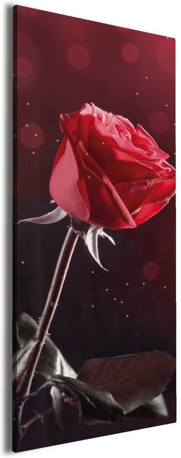 Wallario Leinwandbild, Rote Rose Single, in verschiedenen Ausführungen