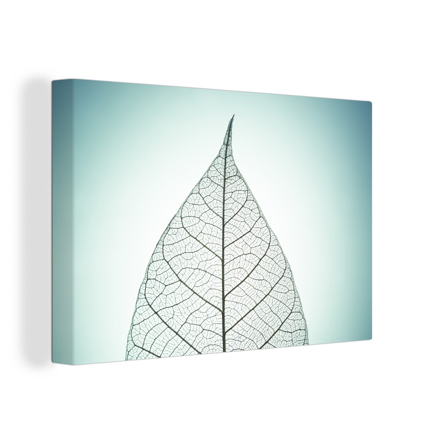 OneMillionCanvasses® Leinwandbild Nahaufnahme eines botanischen Blattskeletts mit einem bunten, (1 St), Wandbild Leinwandbilder, Aufhängefertig, Wanddeko, 30x20 cm