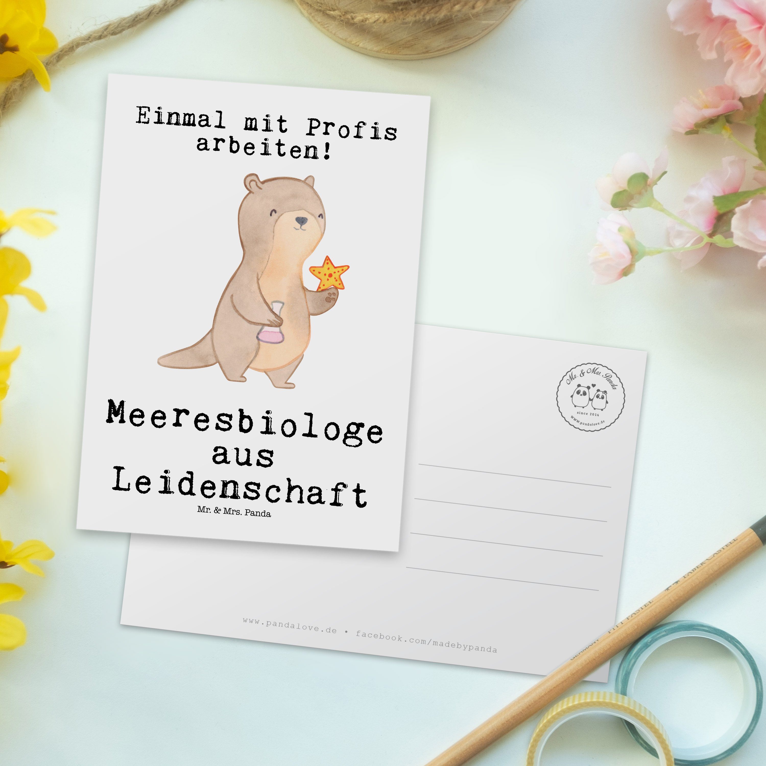 Meeresbiologe Postkarte aus Geschen - Geschenk, - Panda Ausbildung, Mr. & Leidenschaft Weiß Mrs.