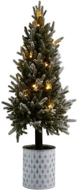 Schneider LED Baum Deko-Tännchen, LED fest integriert, bernsteinfarben, Weihnachtsdeko mit 20 LEDs, Höhe ca. 66 cm