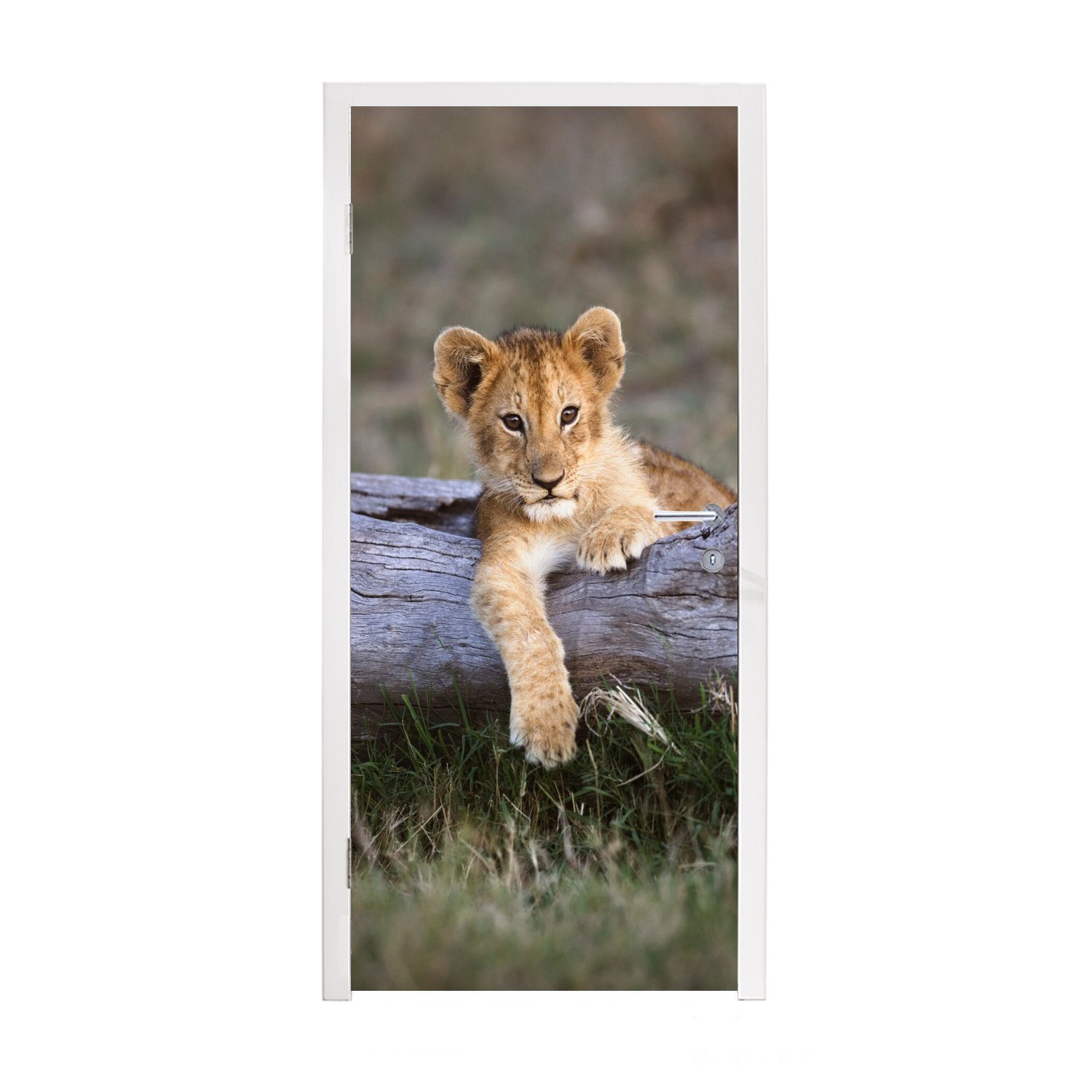 MuchoWow Türtapete Jungtier - Tier - Natur, Matt, bedruckt, (1 St), Fototapete für Tür, Türaufkleber, 75x205 cm