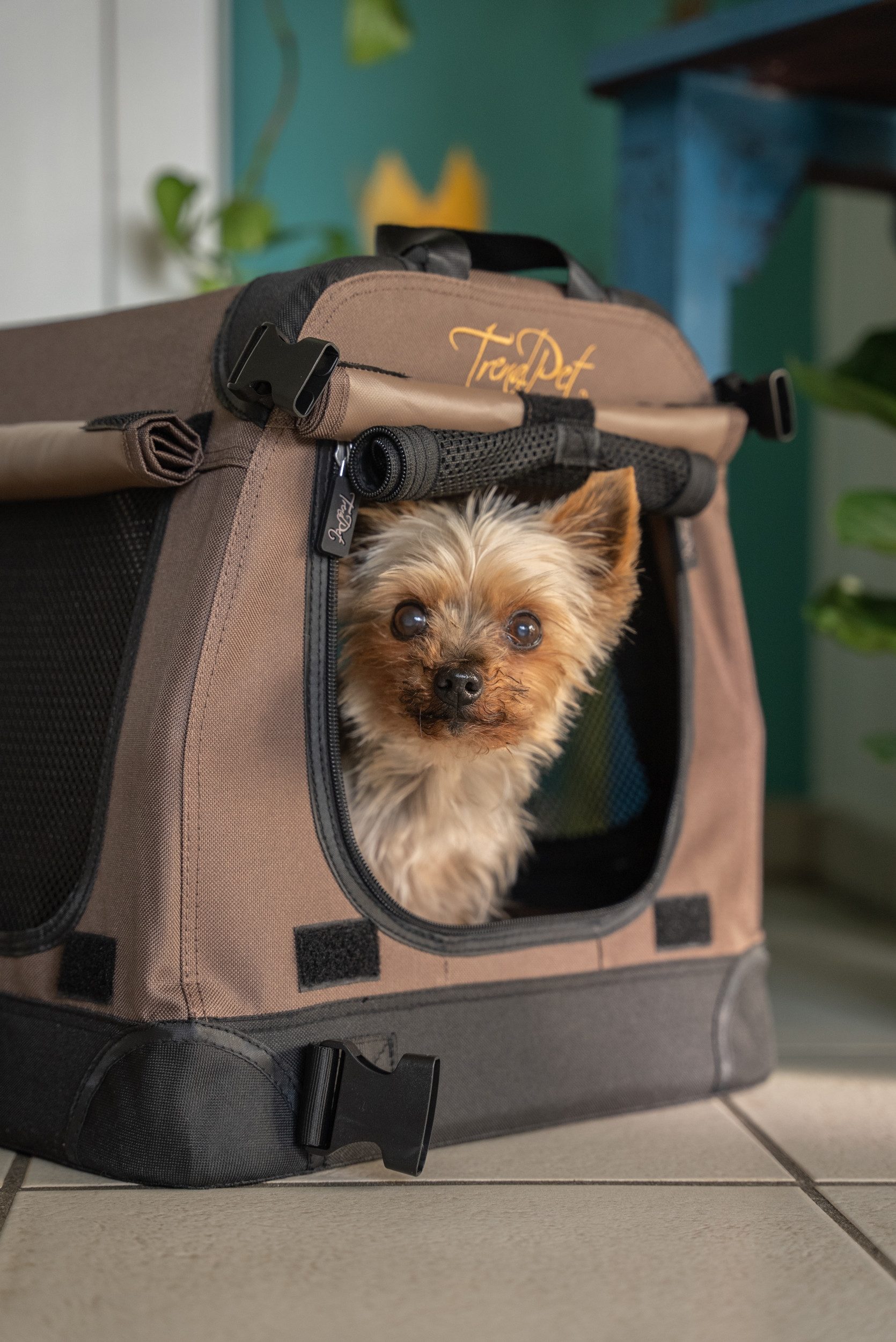 TrendPet Tiertransportbox TPX-Pro Hundebox, in verschiedenen Größen erhältlich