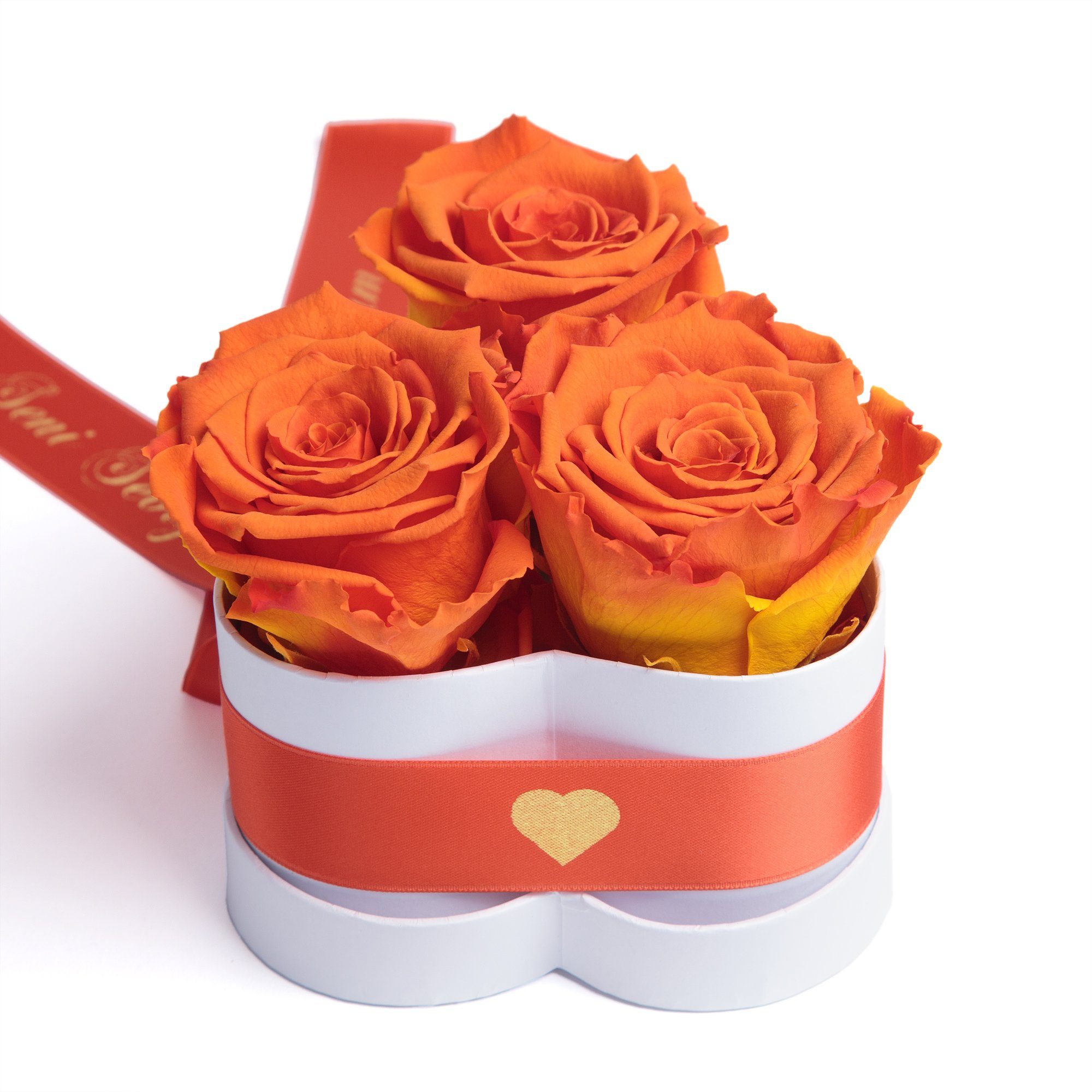 echte Rosenbox konserviert Infinity haltbar Kunstblume lang 3 Rose, cm, ROSEMARIE echte 10 Herz Seni Orange Rosen Rosen Heidelberg, Höhe SCHULZ Seviyorum