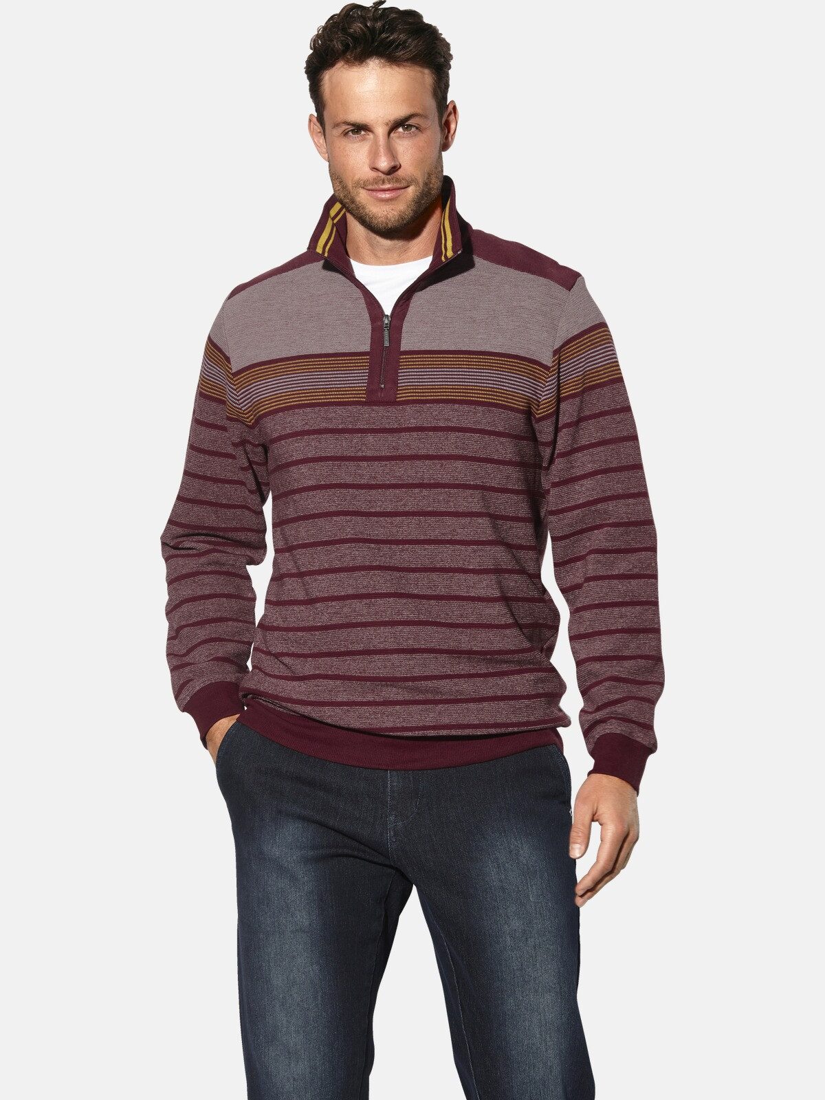 Babista Sweatshirt REMOSOTZI mit Umlegekragen günstig online kaufen